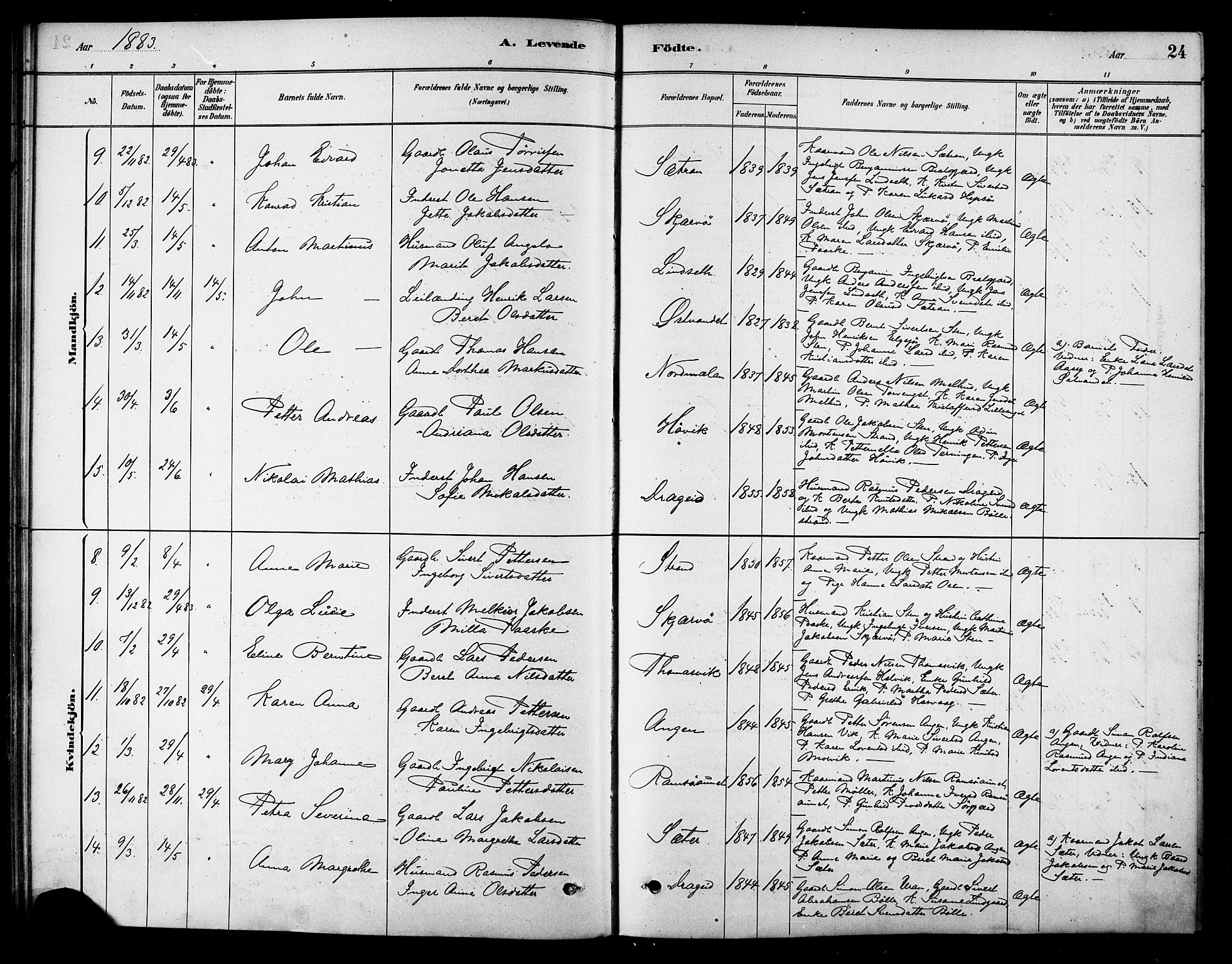 Ministerialprotokoller, klokkerbøker og fødselsregistre - Sør-Trøndelag, SAT/A-1456/658/L0722: Parish register (official) no. 658A01, 1879-1896, p. 24
