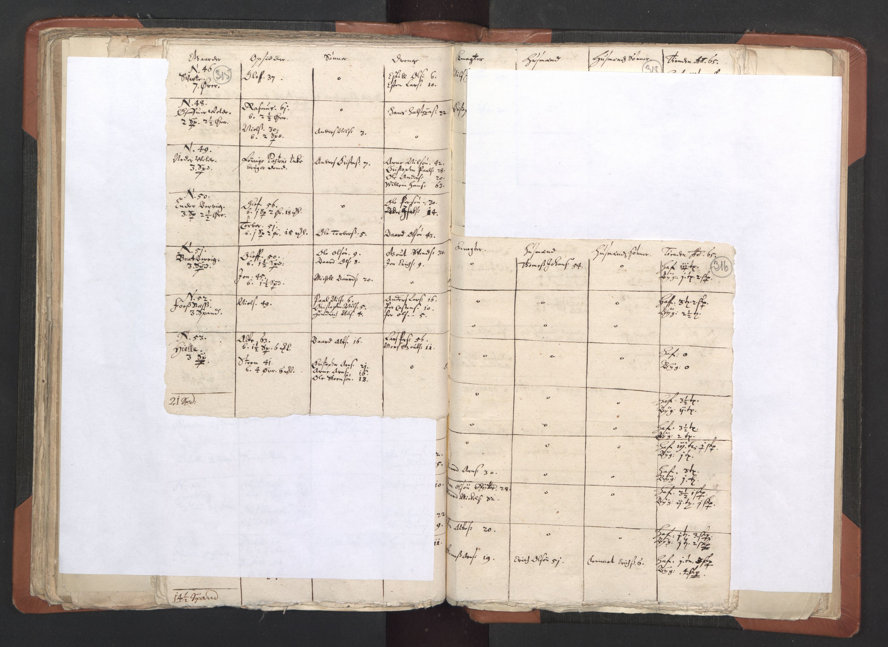 RA, Vicar's Census 1664-1666, no. 33: Innherad deanery, 1664-1666, p. 315-316