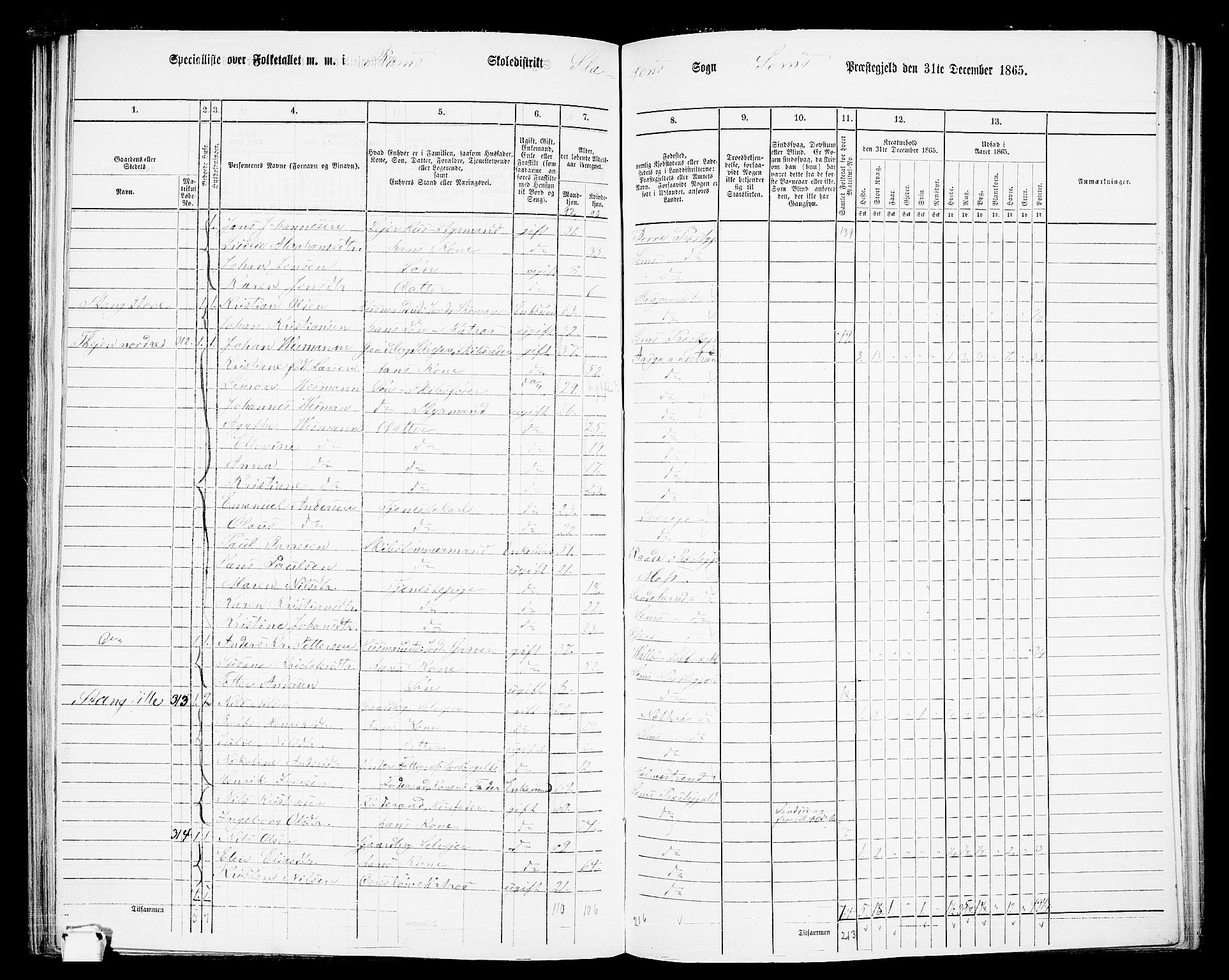 RA, 1865 census for Sem, 1865, p. 136