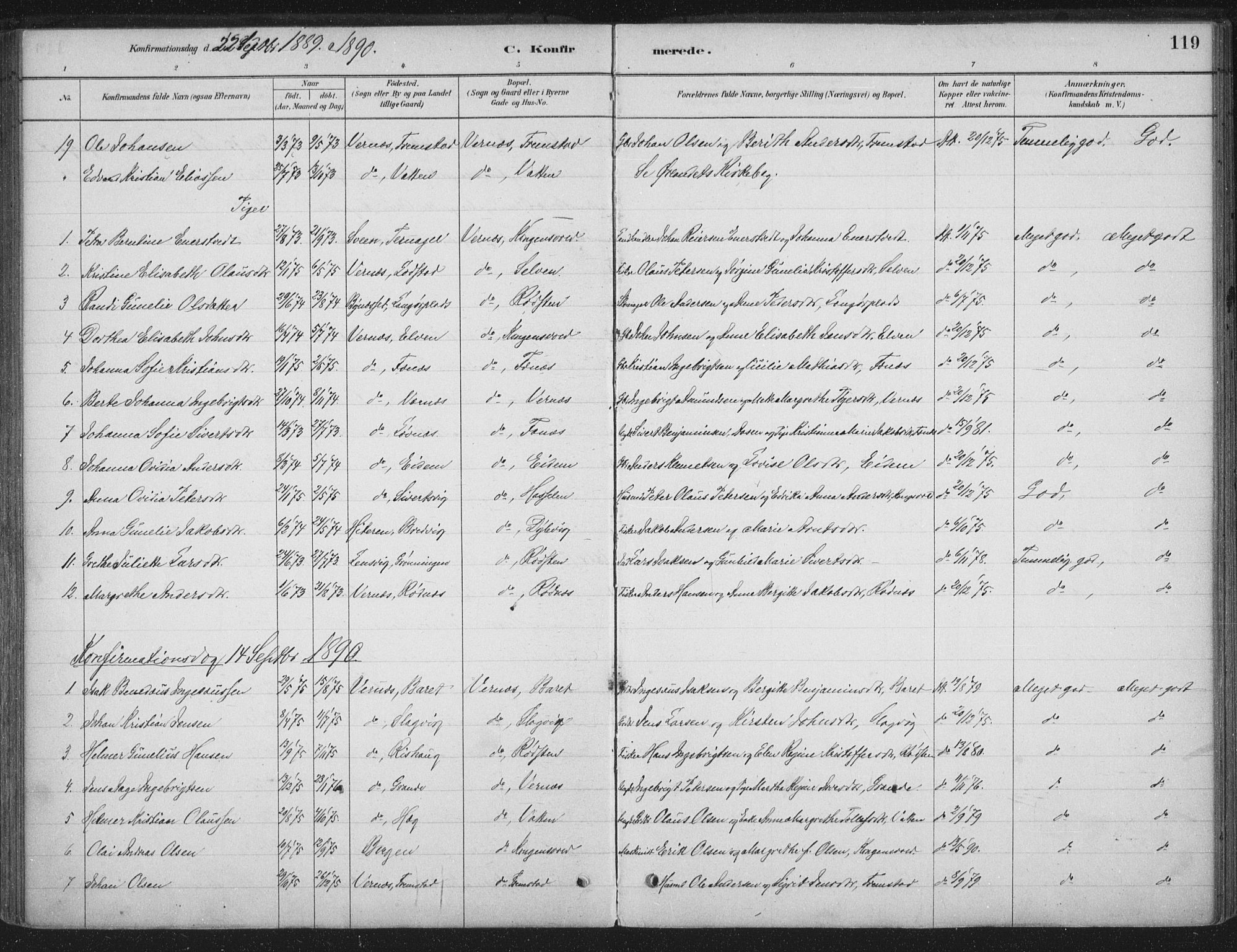 Ministerialprotokoller, klokkerbøker og fødselsregistre - Sør-Trøndelag, SAT/A-1456/662/L0755: Parish register (official) no. 662A01, 1879-1905, p. 119