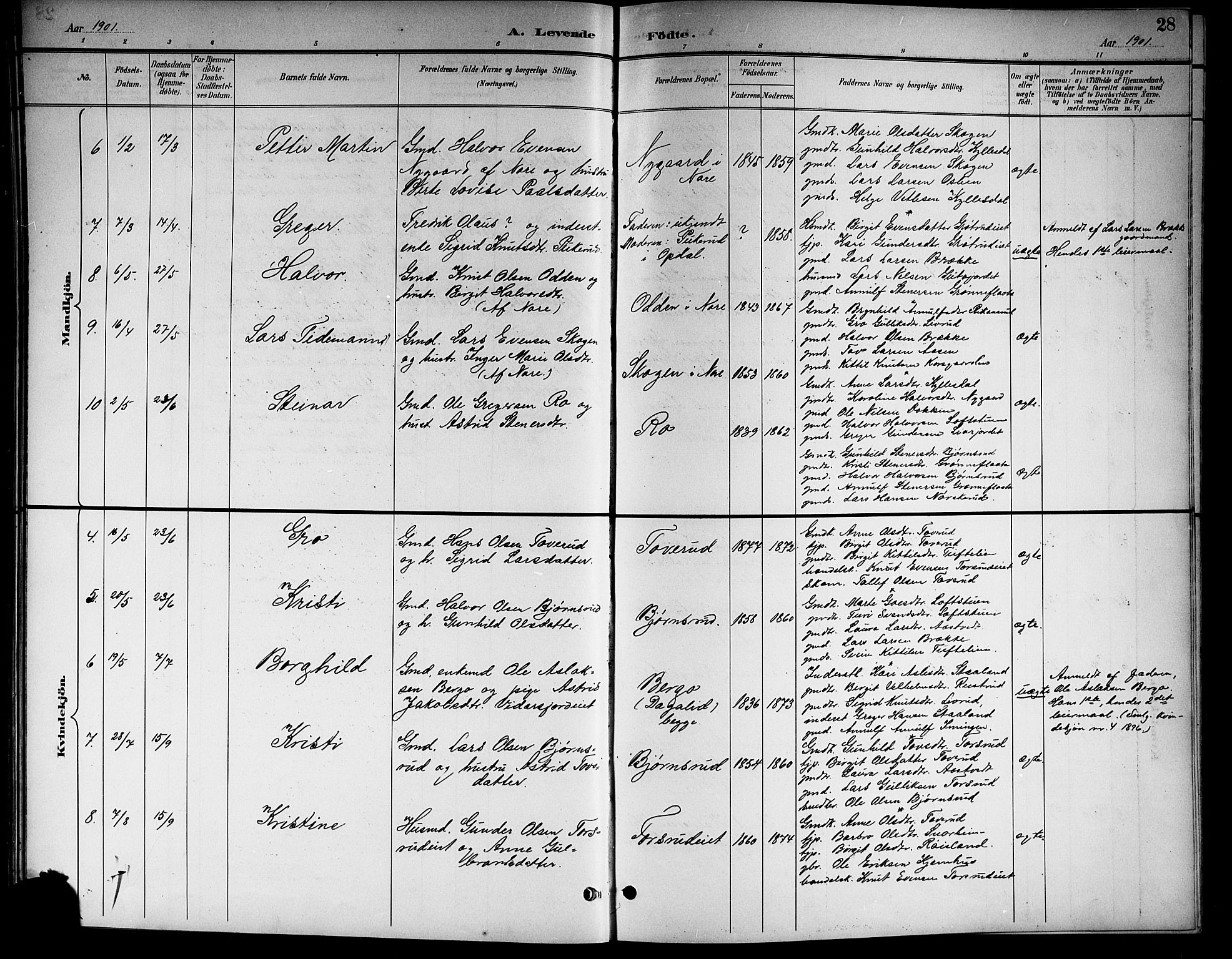 Nore kirkebøker, AV/SAKO-A-238/G/Gb/L0003: Parish register (copy) no. II 3, 1894-1923, p. 28