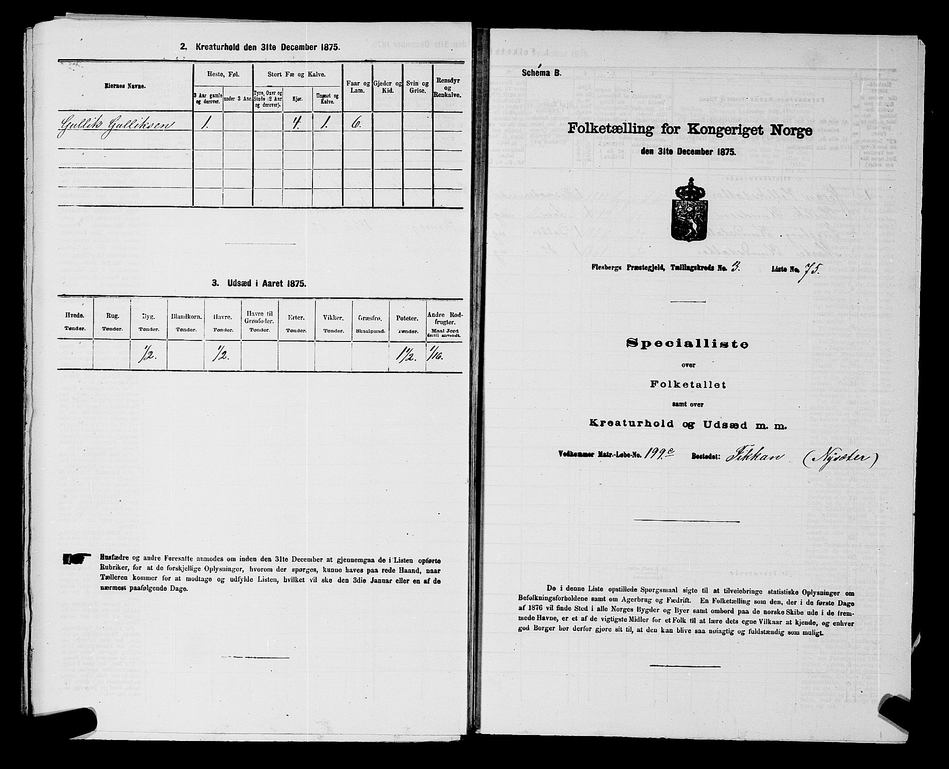 SAKO, 1875 census for 0631P Flesberg, 1875, p. 681