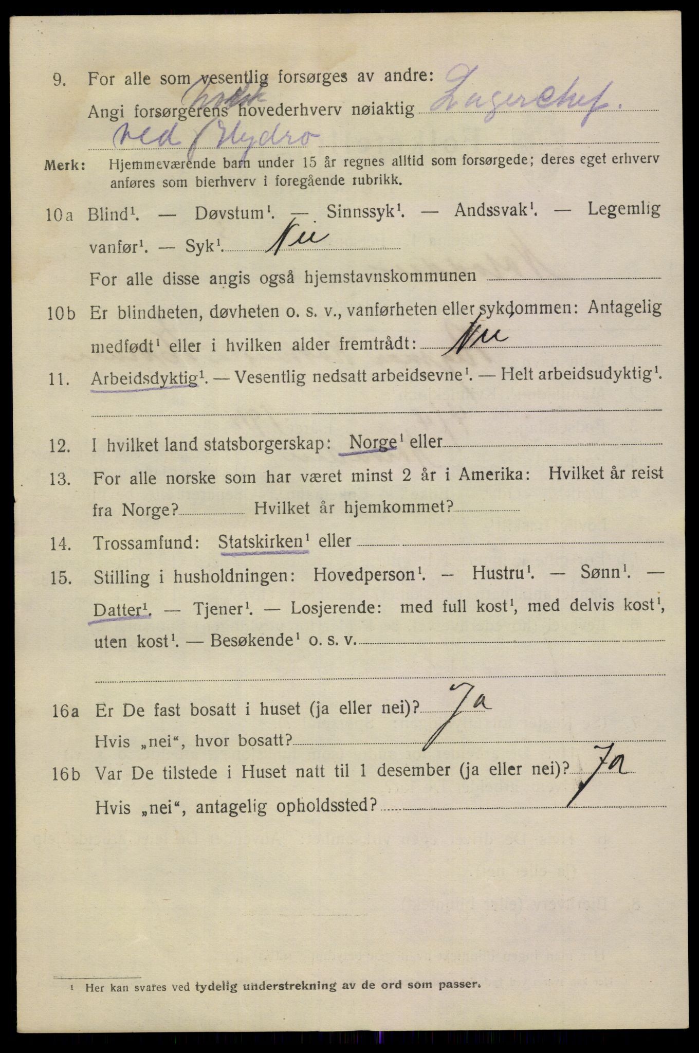 SAKO, 1920 census for Notodden, 1920, p. 13137