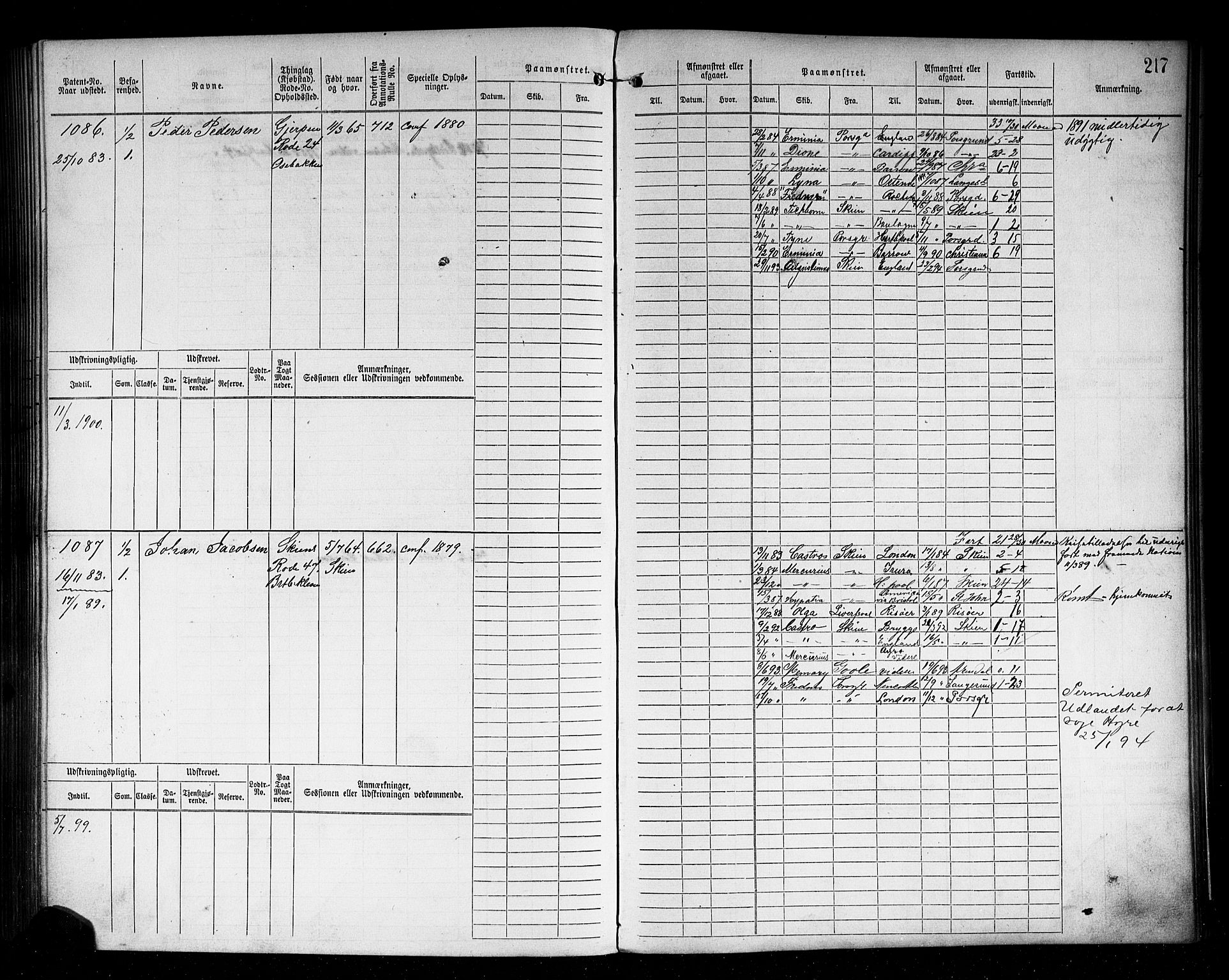 Skien innrulleringskontor, AV/SAKO-A-832/F/Fb/L0002: Hovedrulle, 1872-1891, p. 219