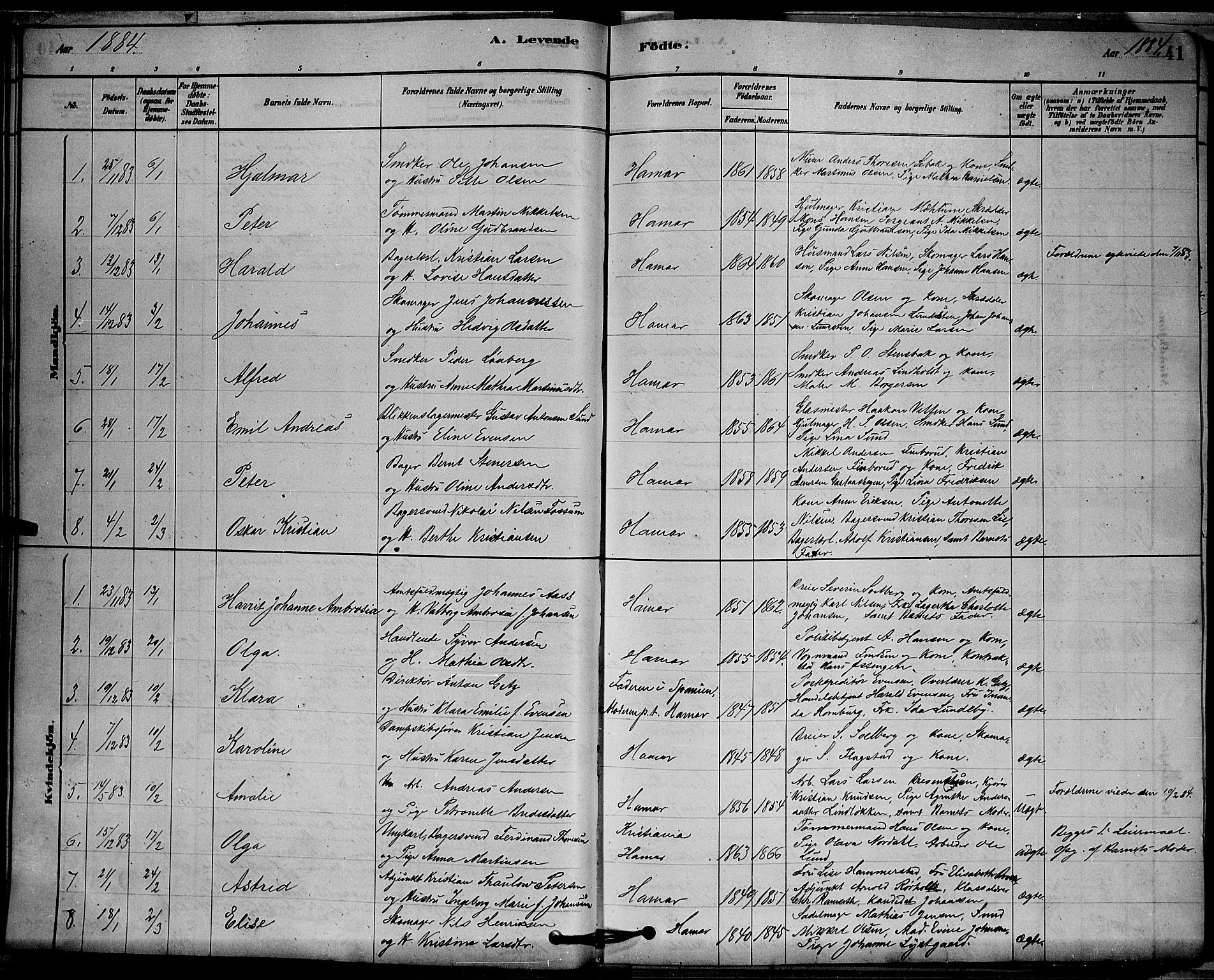 Vang prestekontor, Hedmark, SAH/PREST-008/H/Ha/Hab/L0012: Parish register (copy) no. 12, 1878-1889, p. 41