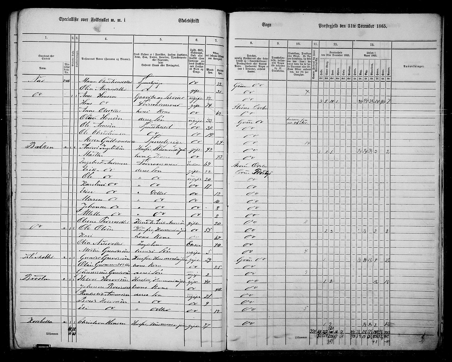 RA, 1865 census for Grue, 1865, p. 306