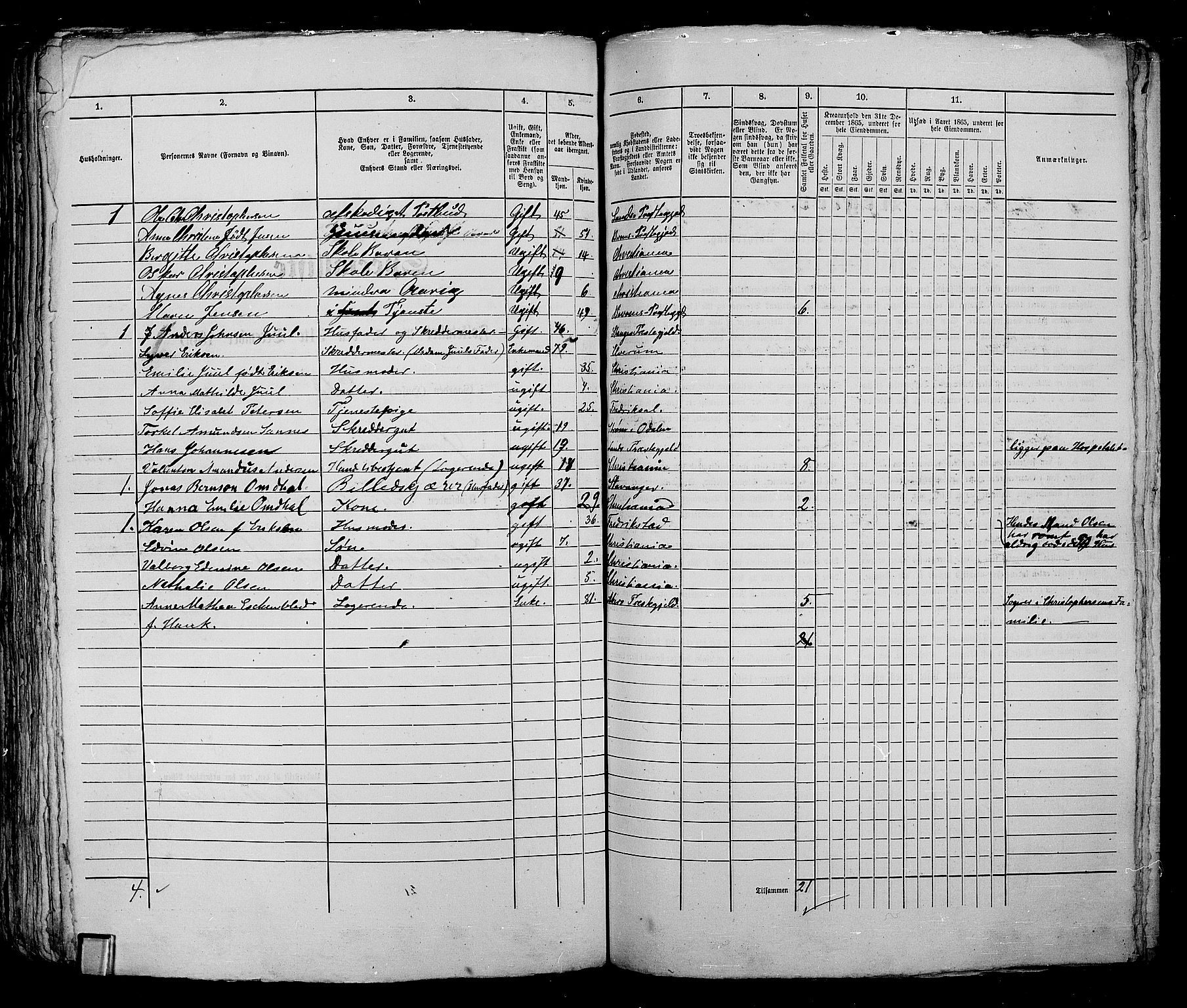 RA, 1865 census for Kristiania, 1865, p. 1991