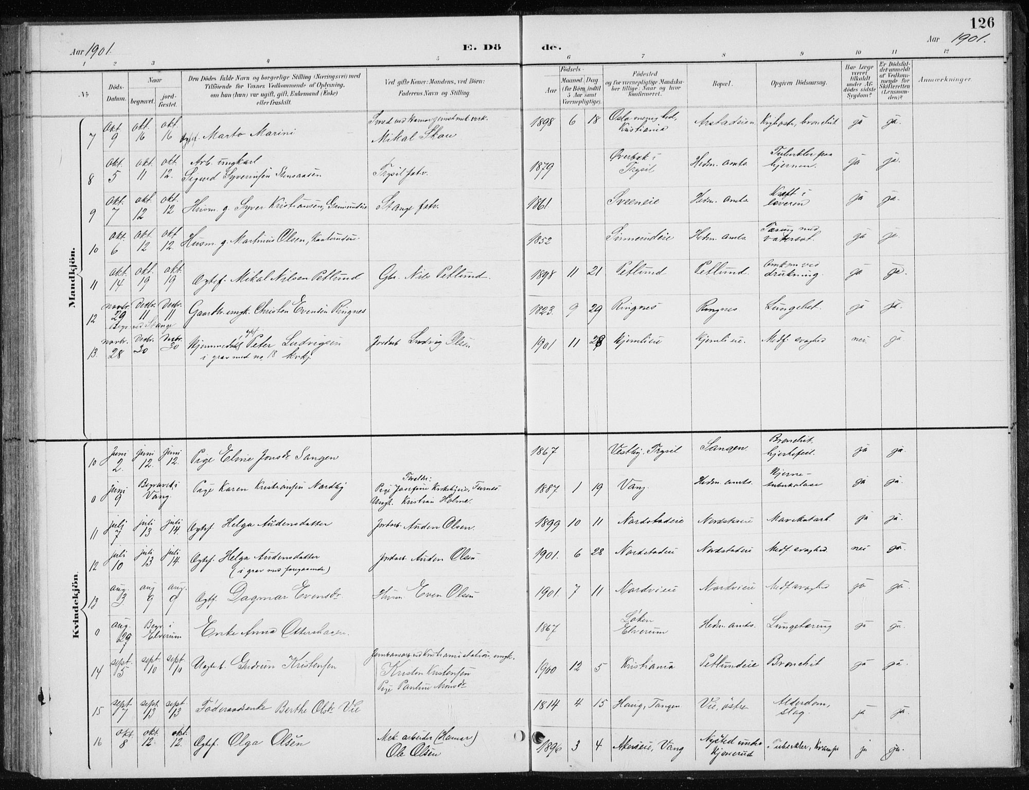 Stange prestekontor, SAH/PREST-002/L/L0010: Parish register (copy) no. 10, 1894-1905, p. 126