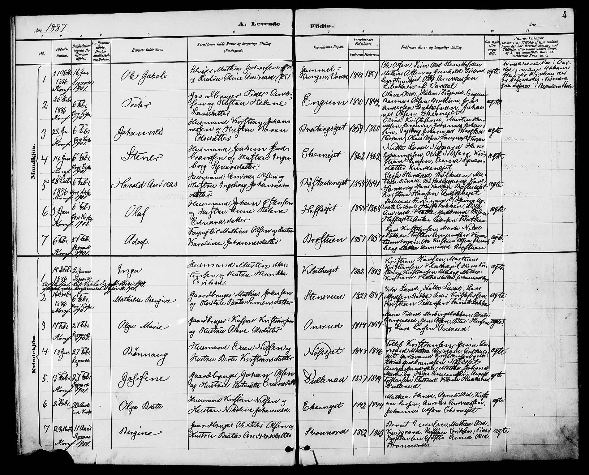 Biri prestekontor, SAH/PREST-096/H/Ha/Haa/L0007: Parish register (official) no. 7, 1887-1893, p. 4