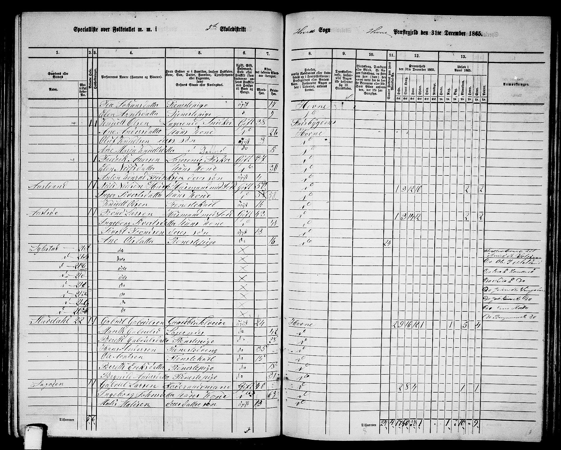 RA, 1865 census for Hemne, 1865, p. 121