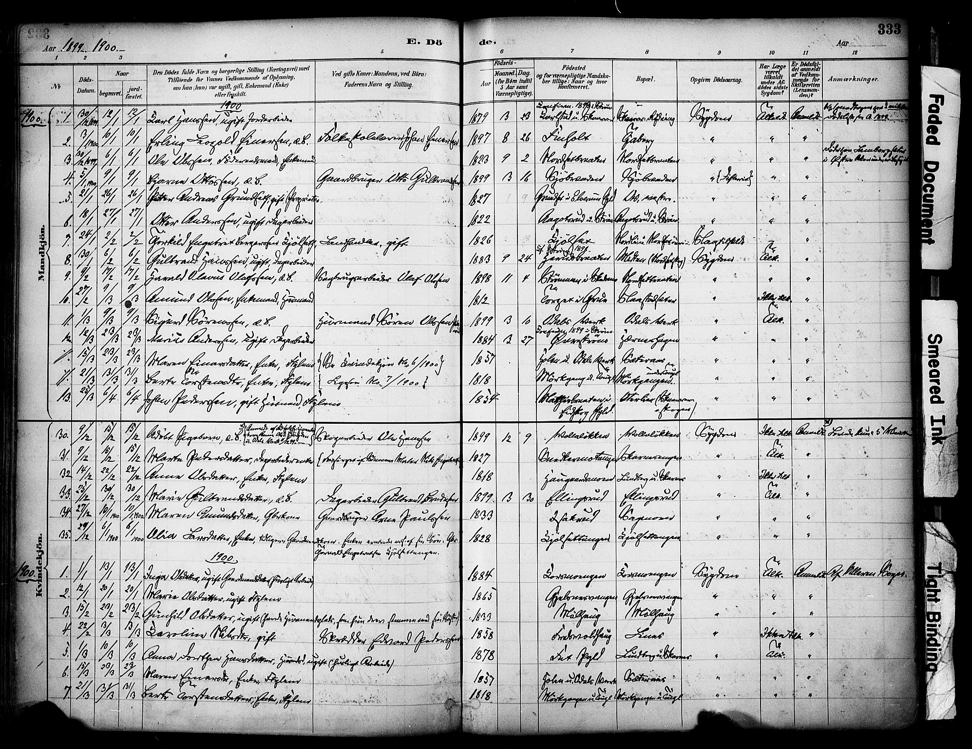 Sør-Odal prestekontor, AV/SAH-PREST-030/H/Ha/Haa/L0007: Parish register (official) no. 7, 1886-1925, p. 333