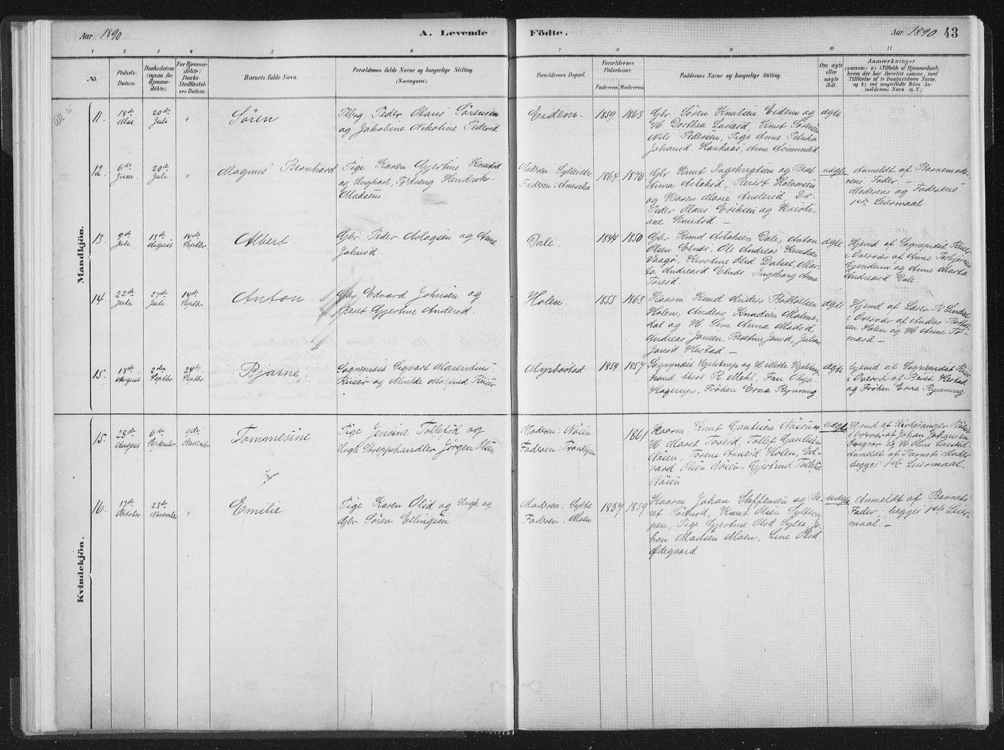 Ministerialprotokoller, klokkerbøker og fødselsregistre - Møre og Romsdal, SAT/A-1454/564/L0740: Parish register (official) no. 564A01, 1880-1899, p. 43