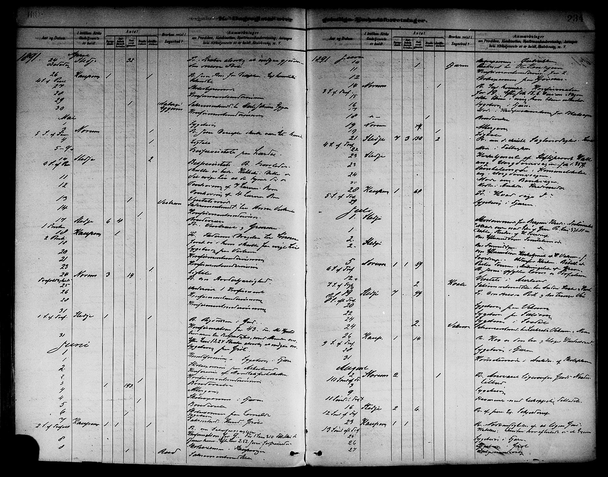 Sogndal sokneprestembete, AV/SAB-A-81301/H/Haa/Haab/L0001: Parish register (official) no. B 1, 1878-1899, p. 234