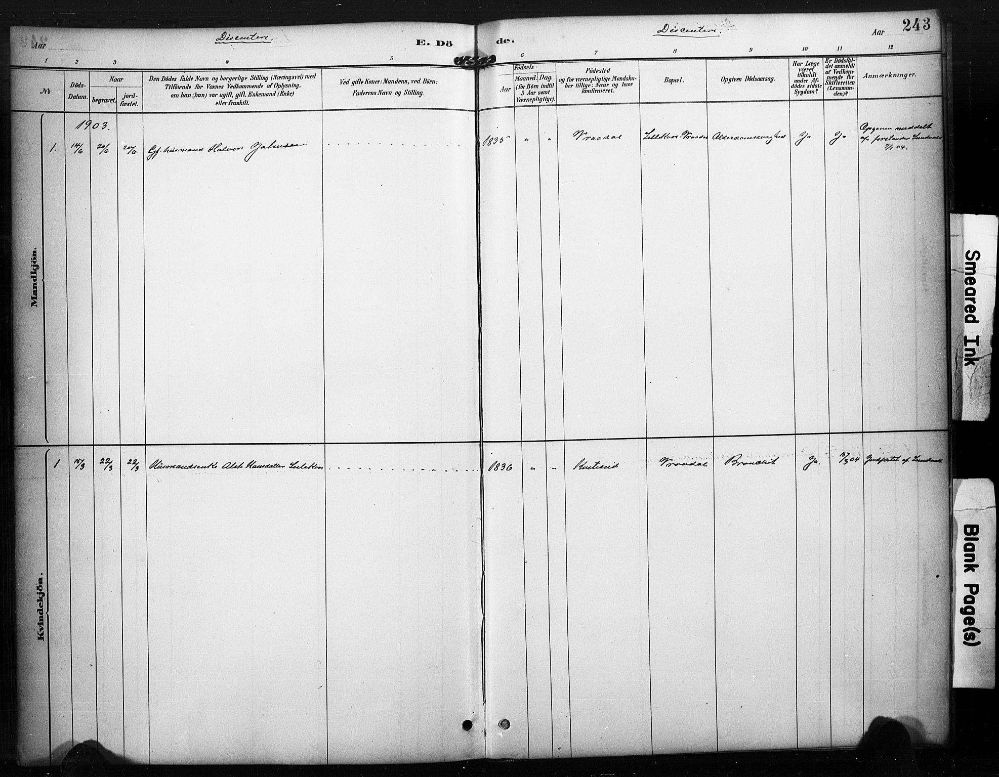 Kviteseid kirkebøker, SAKO/A-276/F/Fa/L0008: Parish register (official) no. I 8, 1882-1903, p. 243