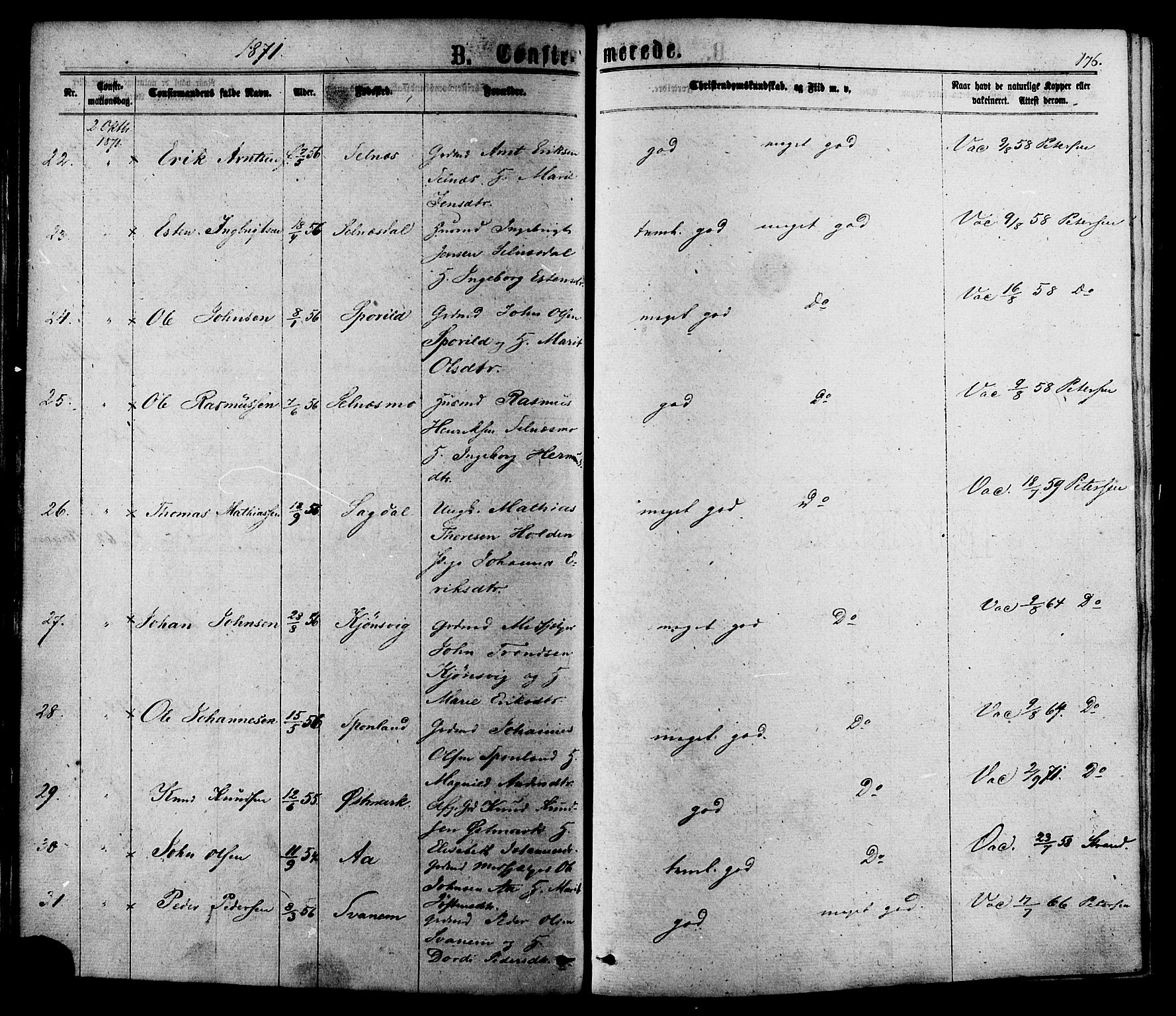 Ministerialprotokoller, klokkerbøker og fødselsregistre - Sør-Trøndelag, AV/SAT-A-1456/630/L0495: Parish register (official) no. 630A08, 1868-1878, p. 176