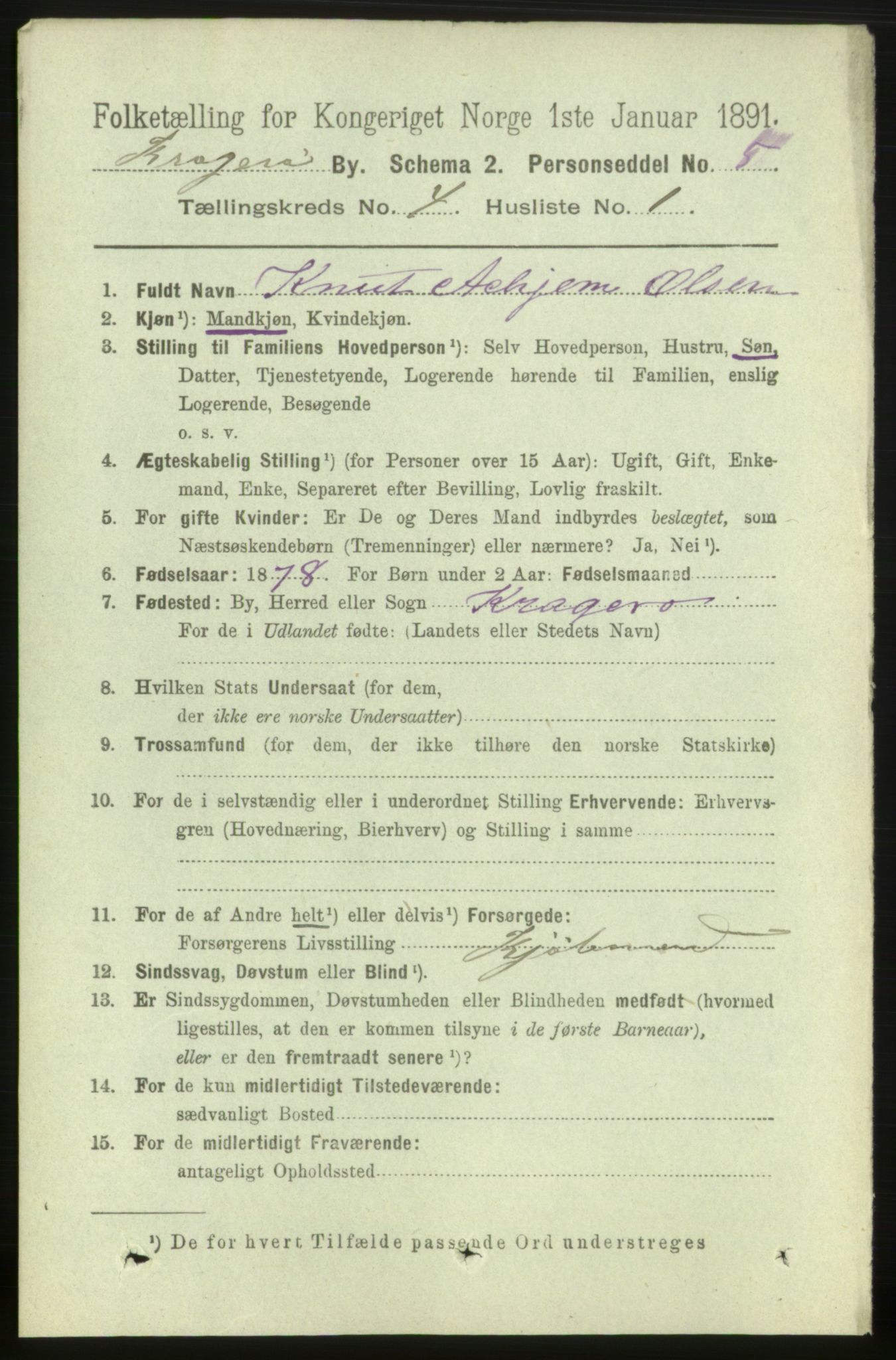 RA, 1891 census for 0801 Kragerø, 1891, p. 2800