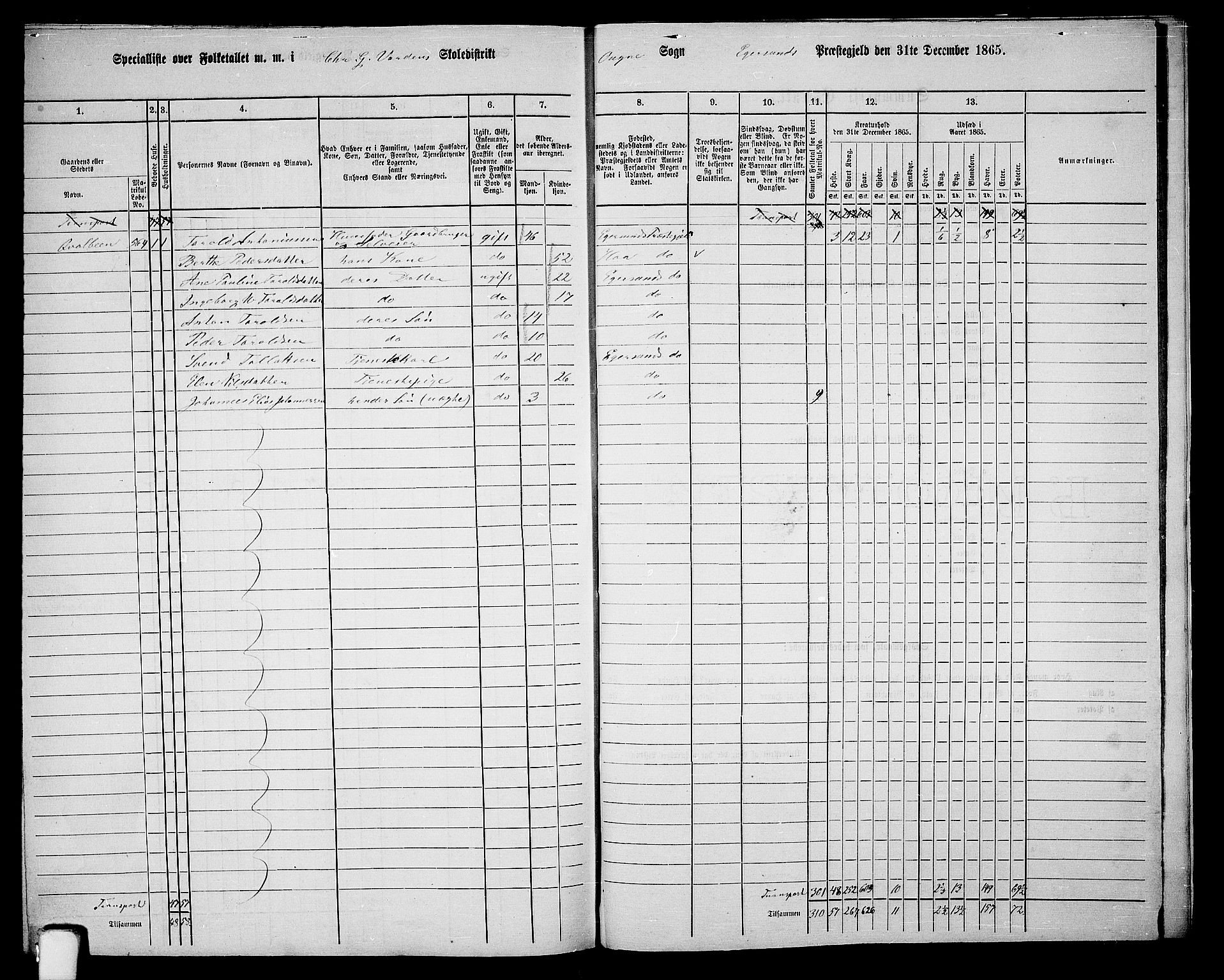 RA, 1865 census for Eigersund/Eigersund og Ogna, 1865, p. 155