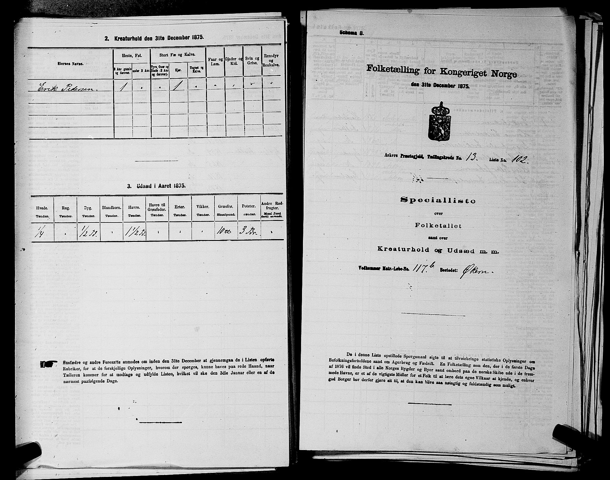 RA, 1875 census for 0220P Asker, 1875, p. 2498