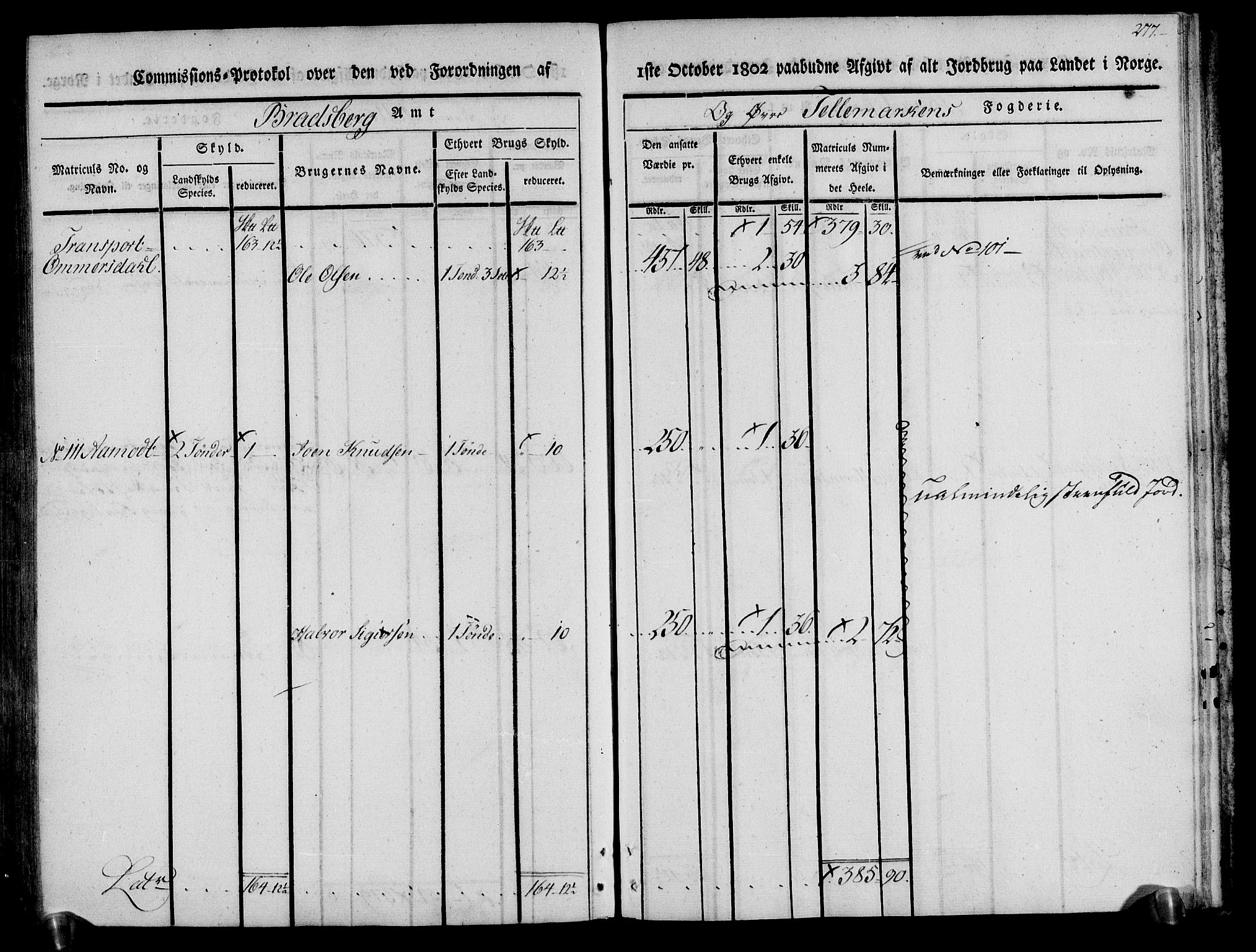 Rentekammeret inntil 1814, Realistisk ordnet avdeling, AV/RA-EA-4070/N/Ne/Nea/L0074: Øvre Telemarken fogderi. Kommisjonsprotokoll for fogderiets østre del - Tinn, Hjartdal og Seljord prestegjeld., 1803, p. 278