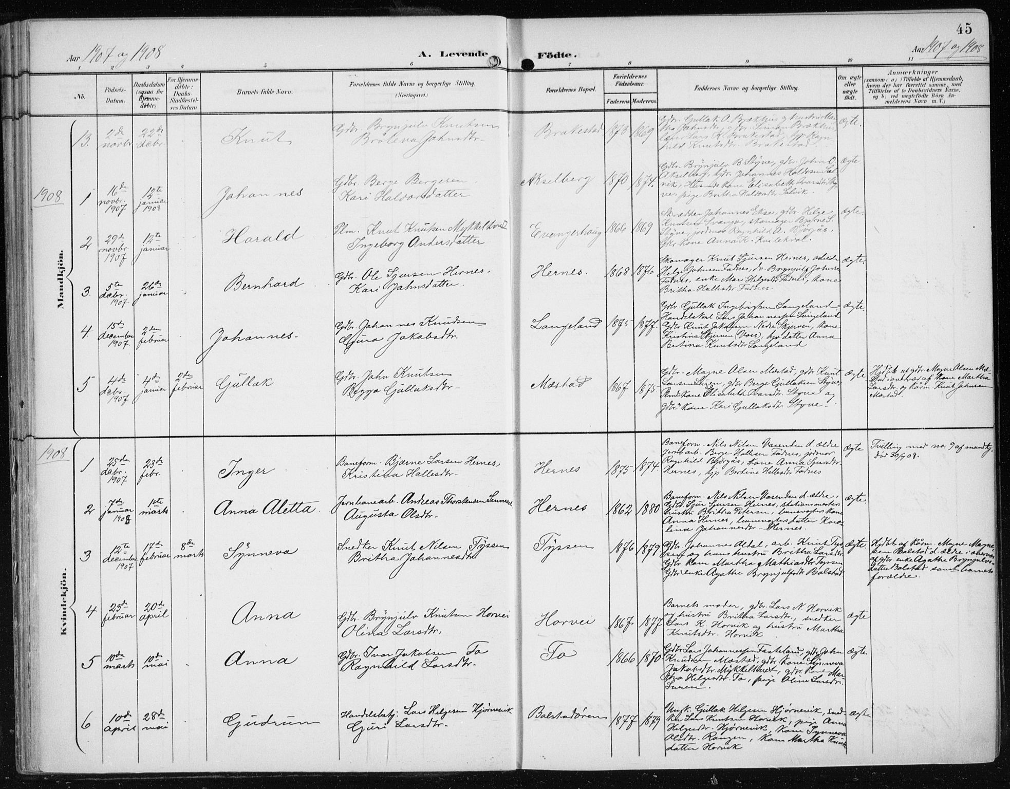 Evanger sokneprestembete, SAB/A-99924: Parish register (official) no. A  3, 1900-1930, p. 45
