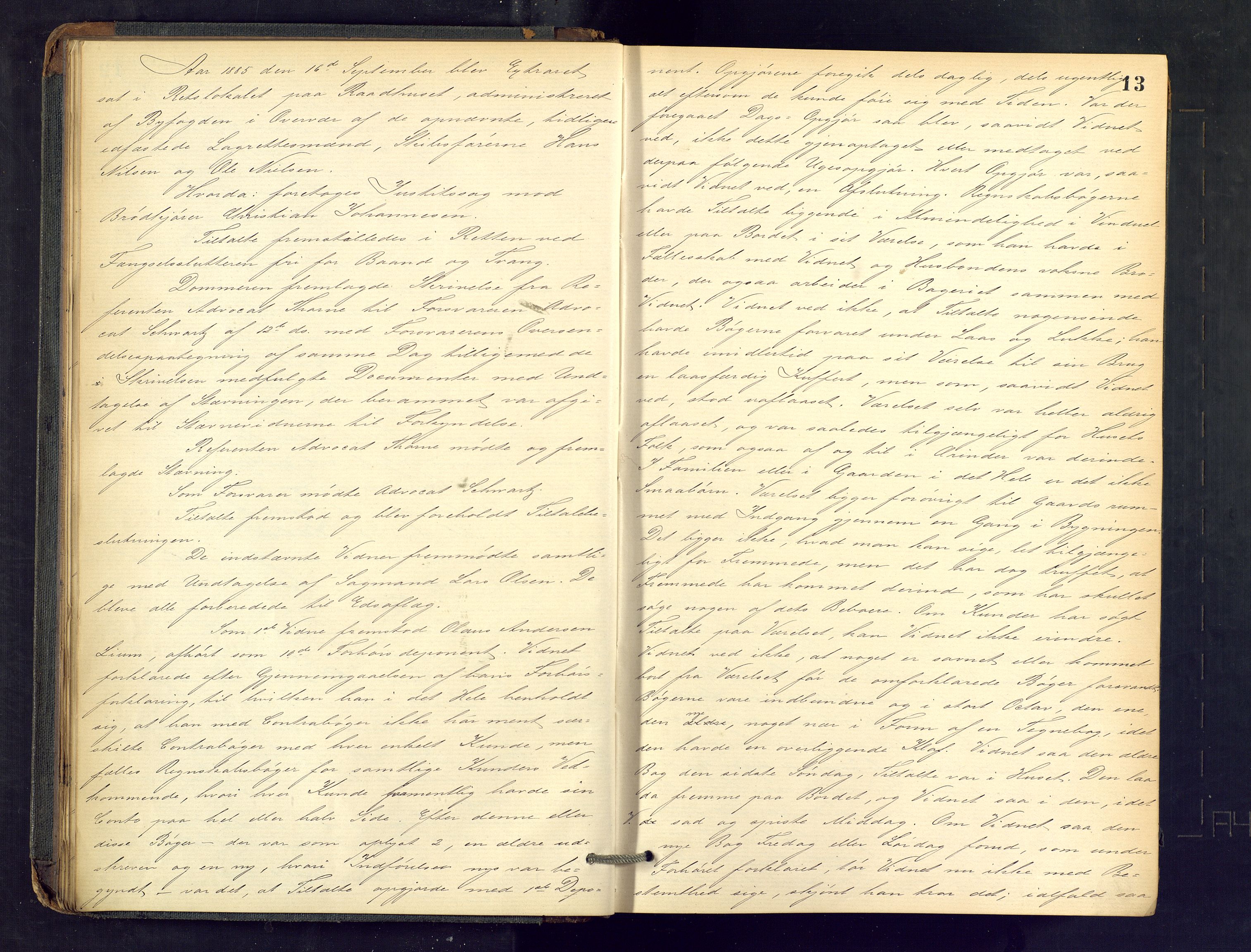 Drammen byfogd, AV/SAKO-A-222/F/Fe/L0023: Ekstrarettsprotokoll, 1885-1891, p. 13