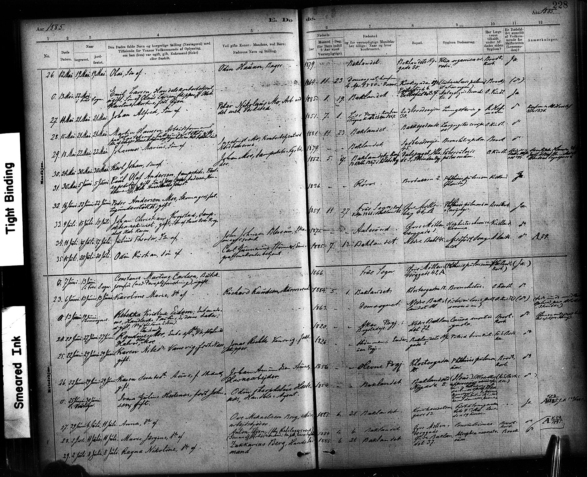 Ministerialprotokoller, klokkerbøker og fødselsregistre - Sør-Trøndelag, AV/SAT-A-1456/604/L0189: Parish register (official) no. 604A10, 1878-1892, p. 228