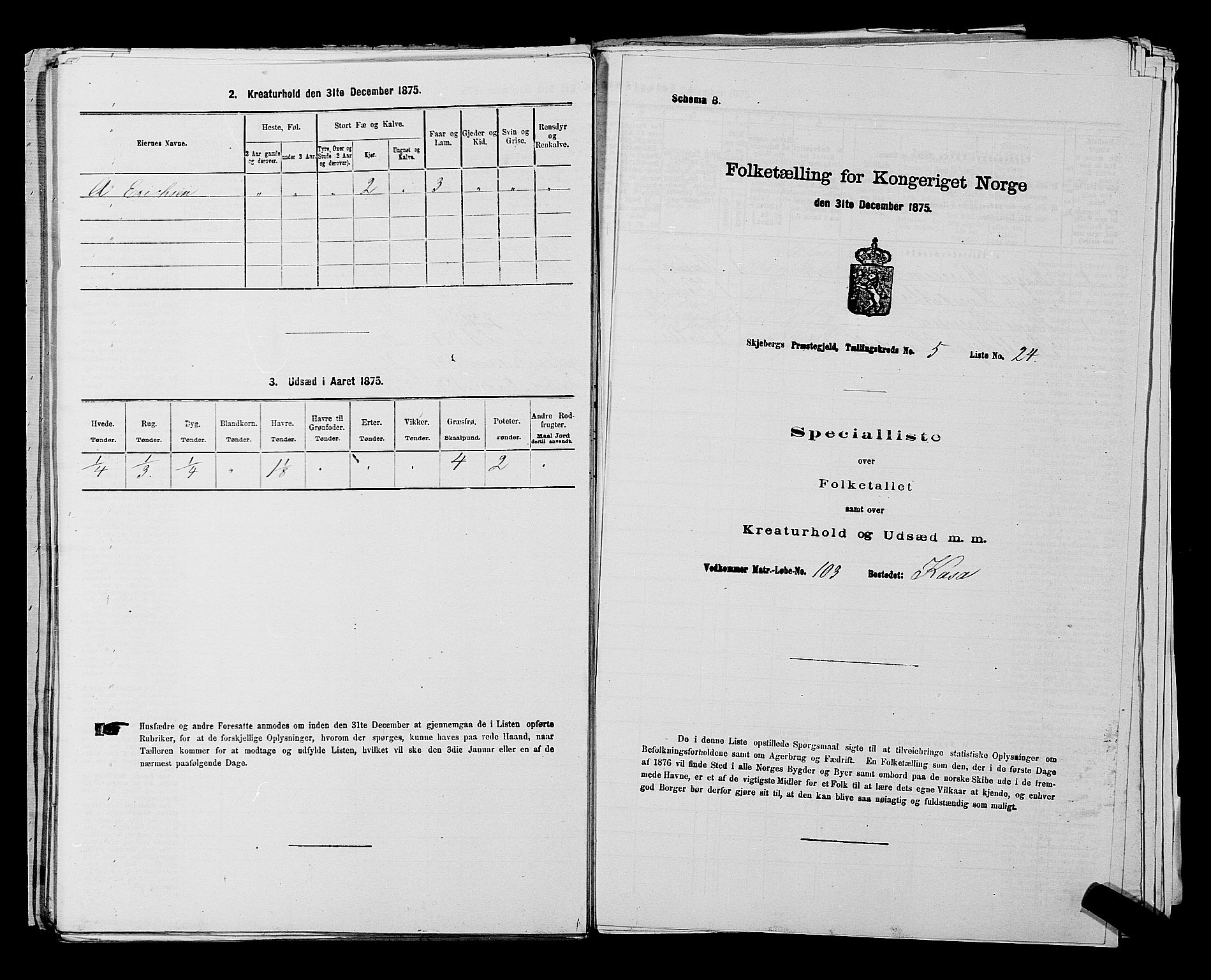 RA, 1875 census for 0115P Skjeberg, 1875, p. 897