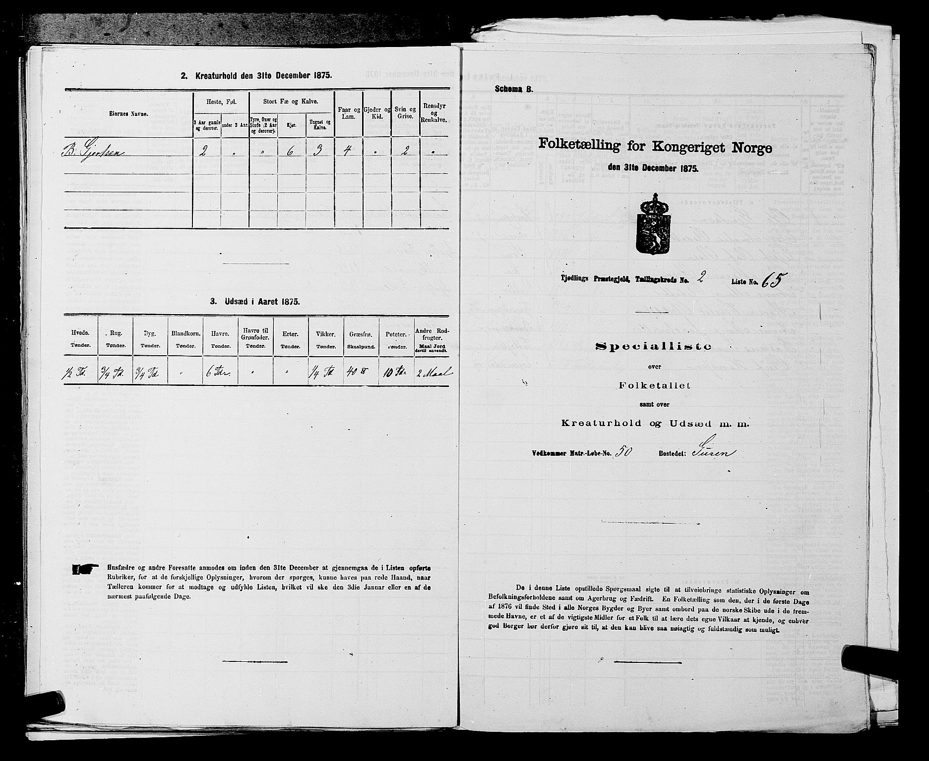 SAKO, 1875 census for 0725P Tjølling, 1875, p. 523