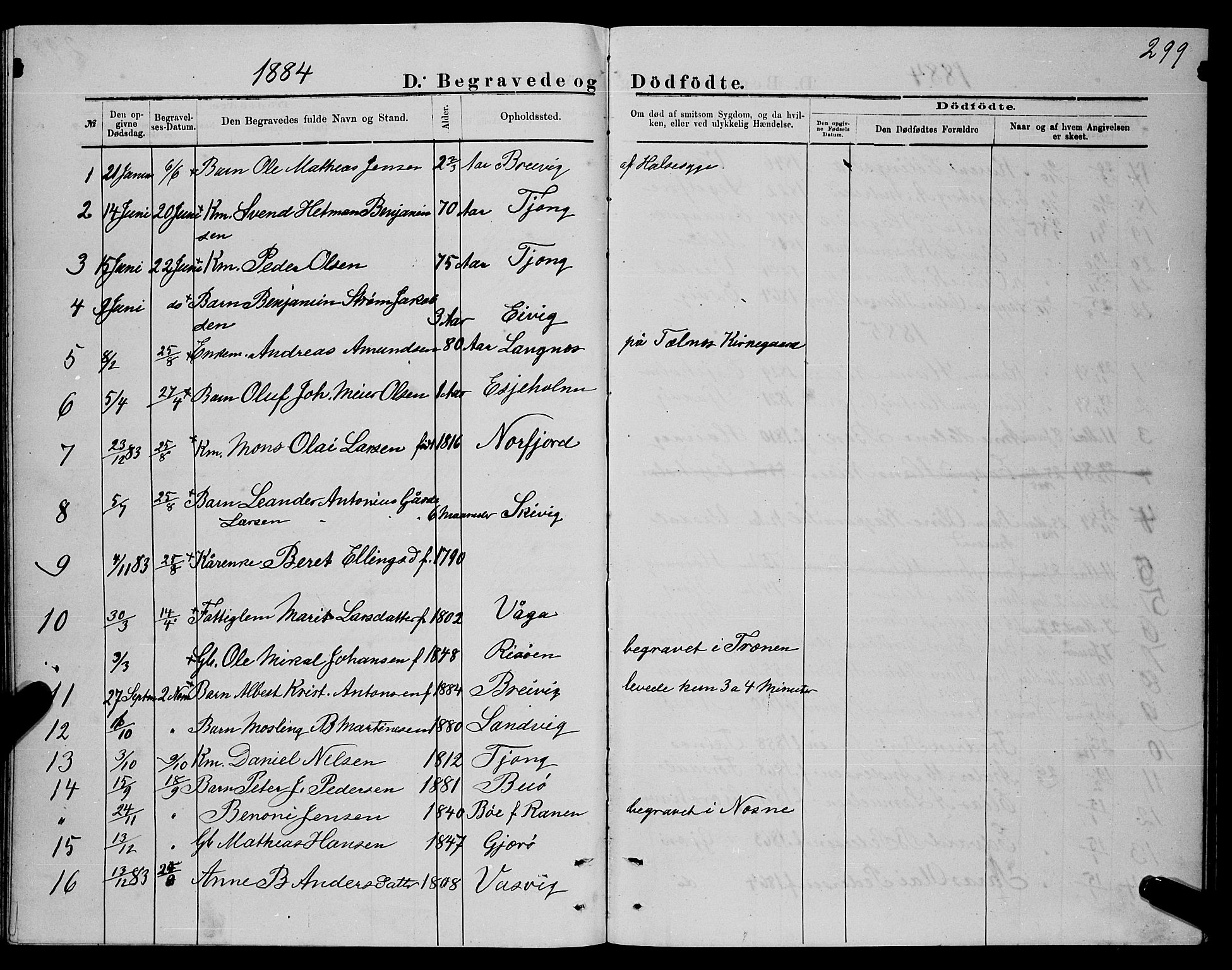 Ministerialprotokoller, klokkerbøker og fødselsregistre - Nordland, AV/SAT-A-1459/841/L0620: Parish register (copy) no. 841C04, 1877-1896, p. 299