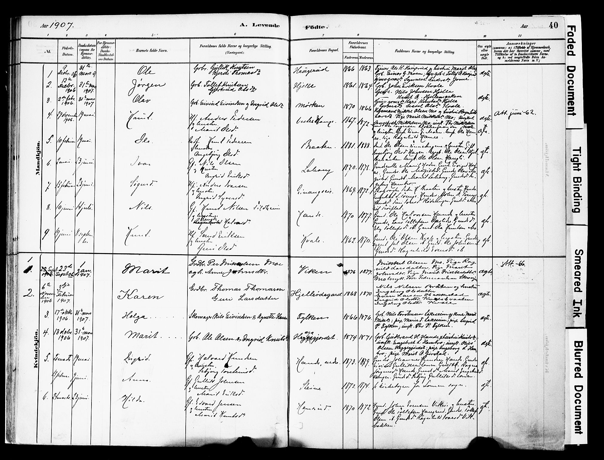 Vestre Slidre prestekontor, SAH/PREST-136/H/Ha/Haa/L0004: Parish register (official) no. 4, 1881-1911, p. 40