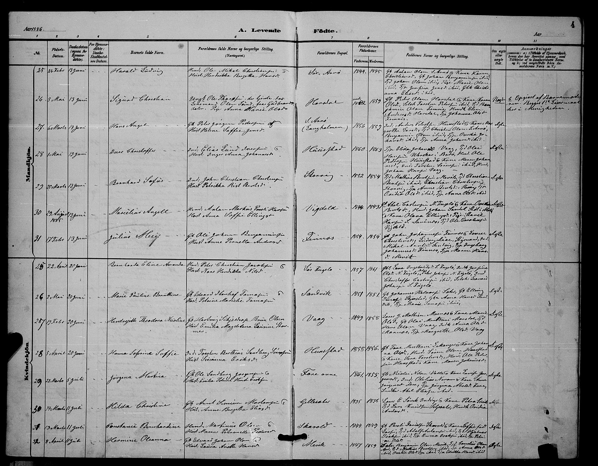 Ministerialprotokoller, klokkerbøker og fødselsregistre - Nordland, AV/SAT-A-1459/805/L0108: Parish register (copy) no. 805C04, 1885-1899, p. 4