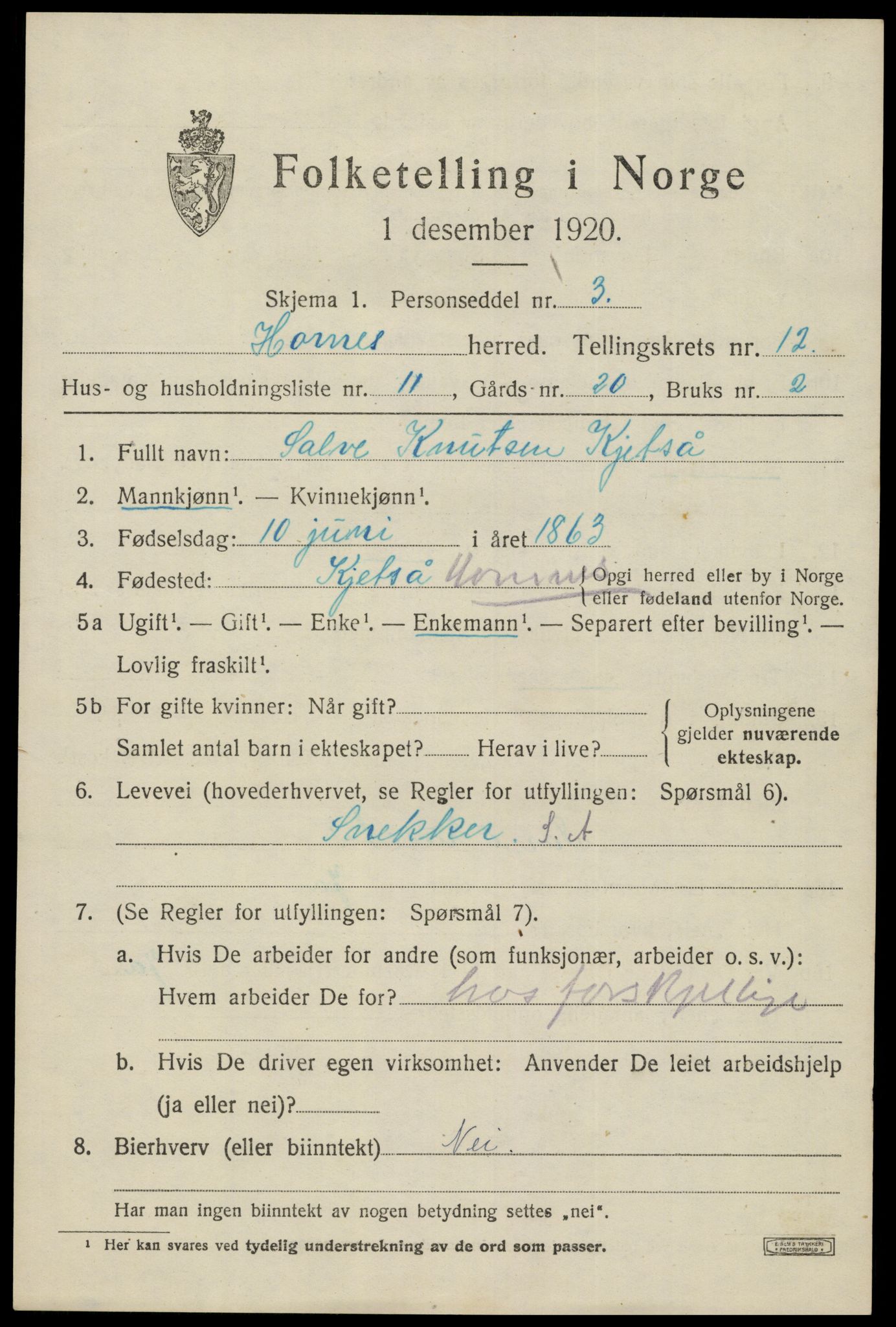 SAK, 1920 census for Hornnes, 1920, p. 3011