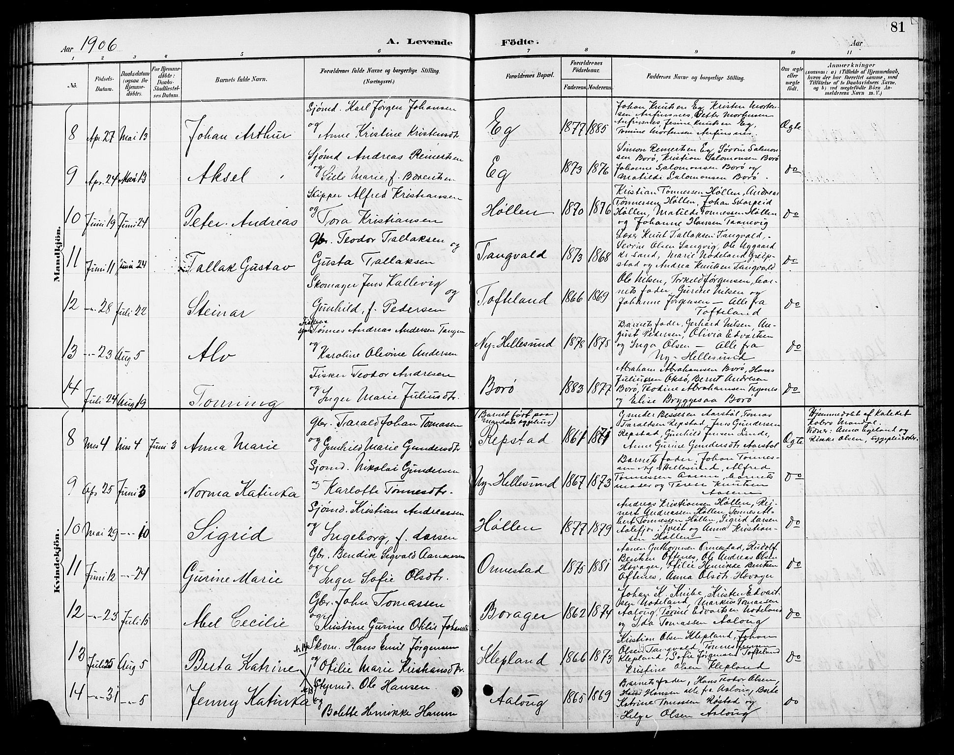 Søgne sokneprestkontor, AV/SAK-1111-0037/F/Fb/Fbb/L0006: Parish register (copy) no. B 6, 1892-1911, p. 81