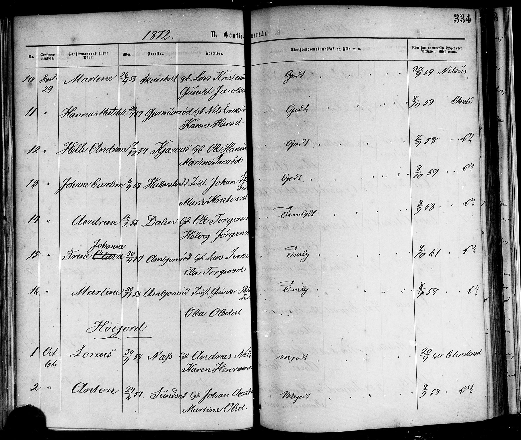 Andebu kirkebøker, AV/SAKO-A-336/F/Fa/L0006: Parish register (official) no. I 6, 1871-1878, p. 334