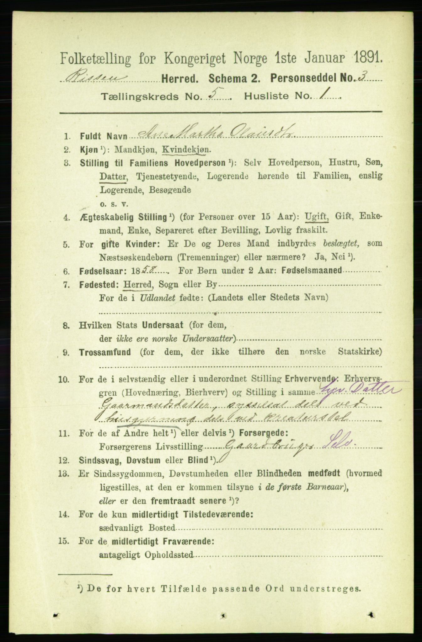 RA, 1891 census for 1624 Rissa, 1891, p. 2666