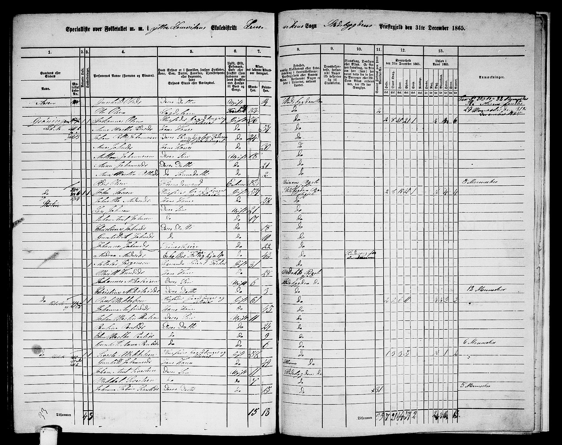 RA, 1865 census for Stadsbygd, 1865, p. 223