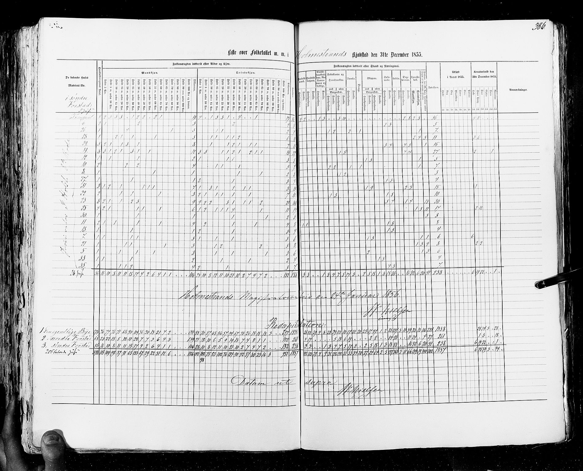 RA, Census 1855, vol. 7: Fredrikshald-Kragerø, 1855, p. 386