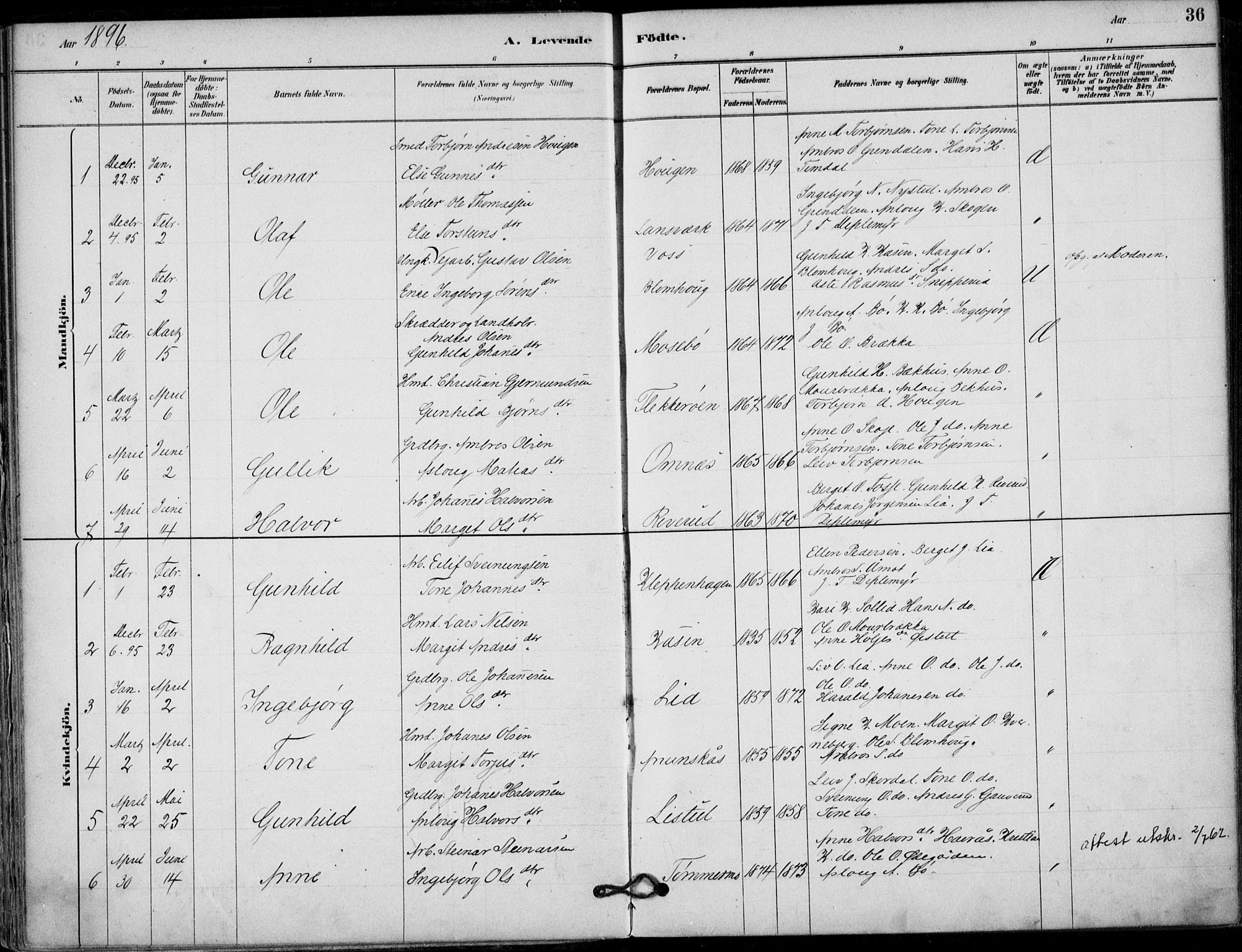 Hjartdal kirkebøker, SAKO/A-270/F/Fb/L0002: Parish register (official) no. II 2, 1880-1932, p. 36
