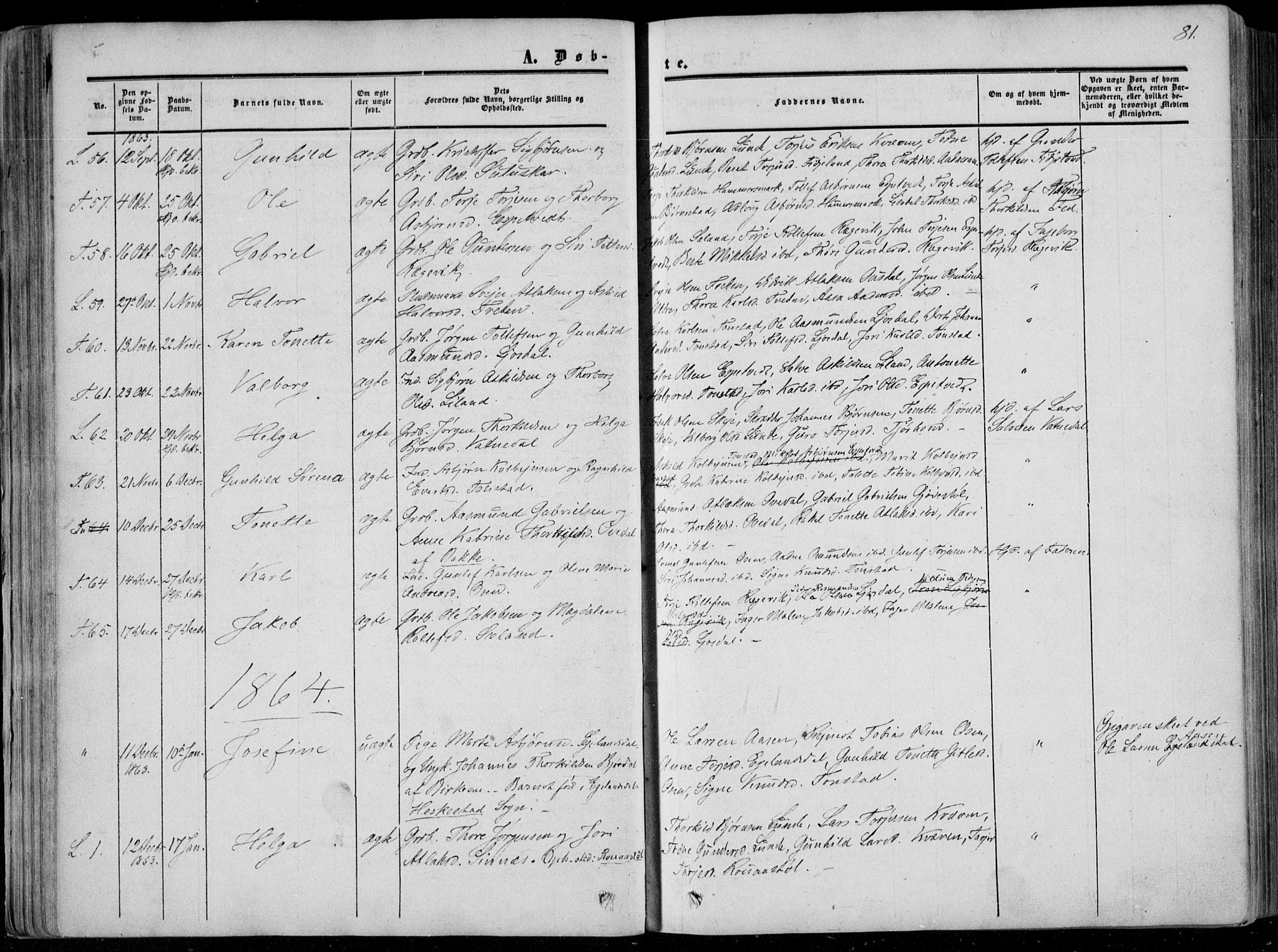 Sirdal sokneprestkontor, SAK/1111-0036/F/Fa/Fab/L0002: Parish register (official) no. A 2, 1855-1874, p. 81