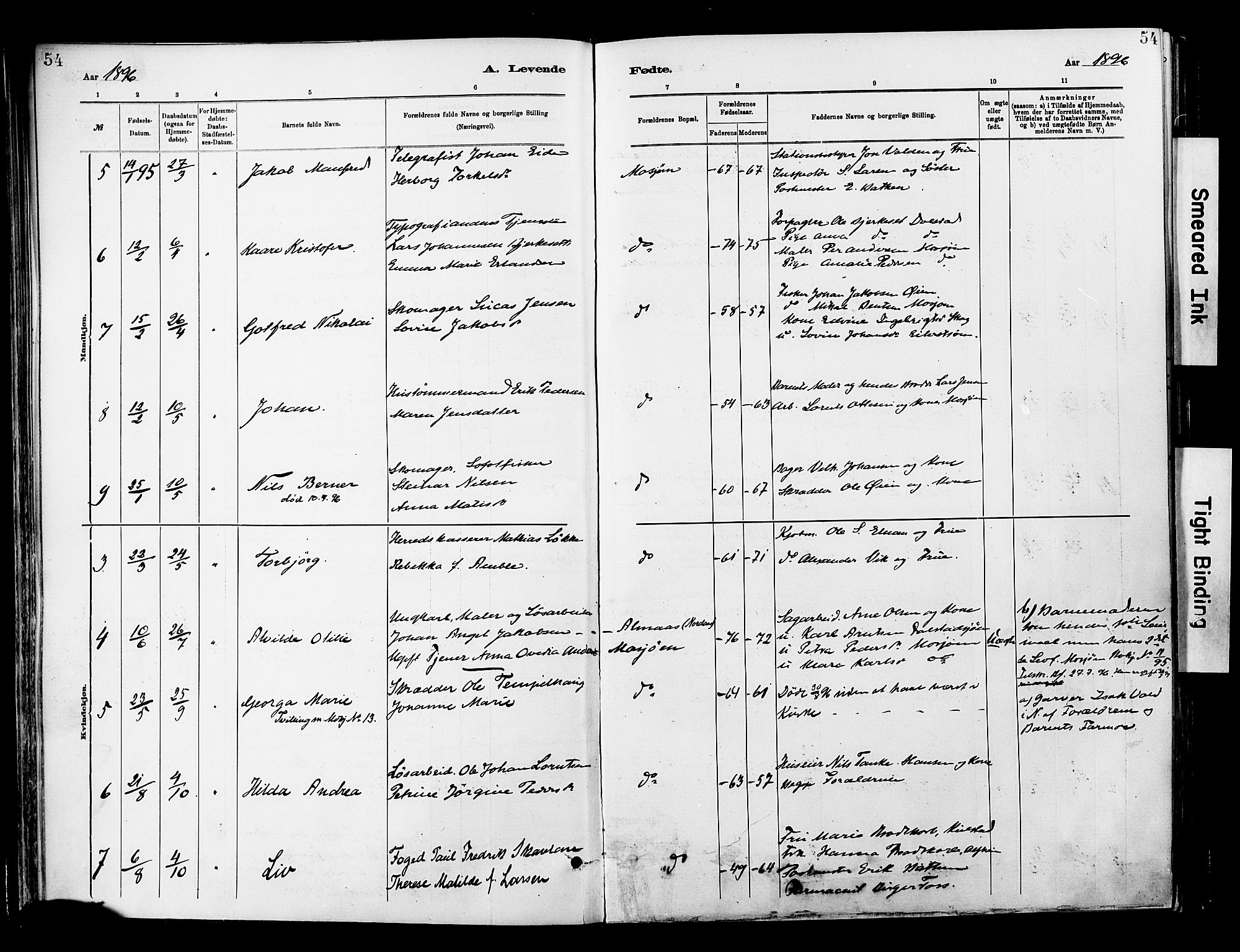 Ministerialprotokoller, klokkerbøker og fødselsregistre - Nordland, SAT/A-1459/820/L0296: Parish register (official) no. 820A17, 1880-1903, p. 54