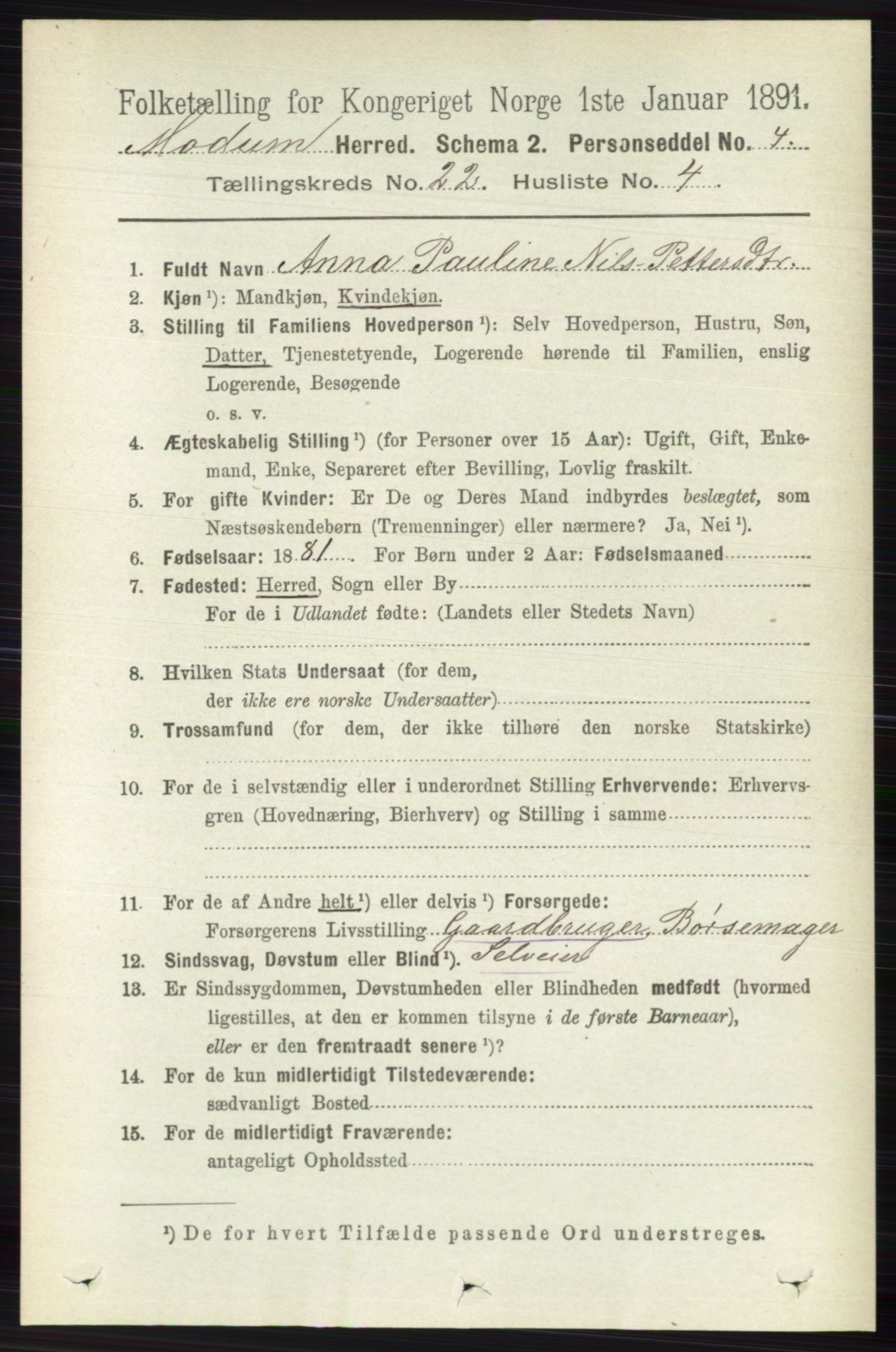 RA, 1891 census for 0623 Modum, 1891, p. 8409