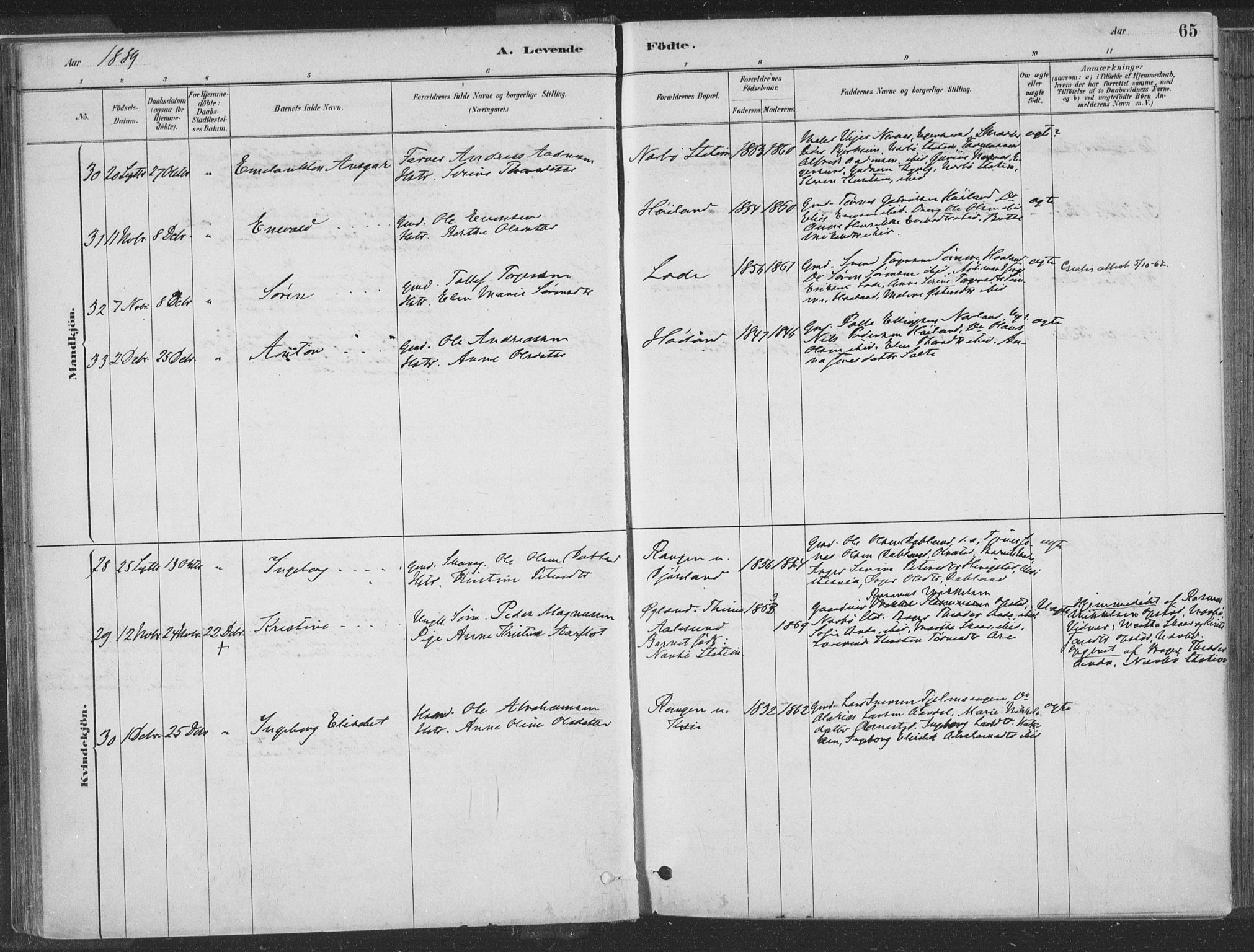 Hå sokneprestkontor, SAST/A-101801/001/30BA/L0010: Parish register (official) no. A 9, 1879-1896, p. 65