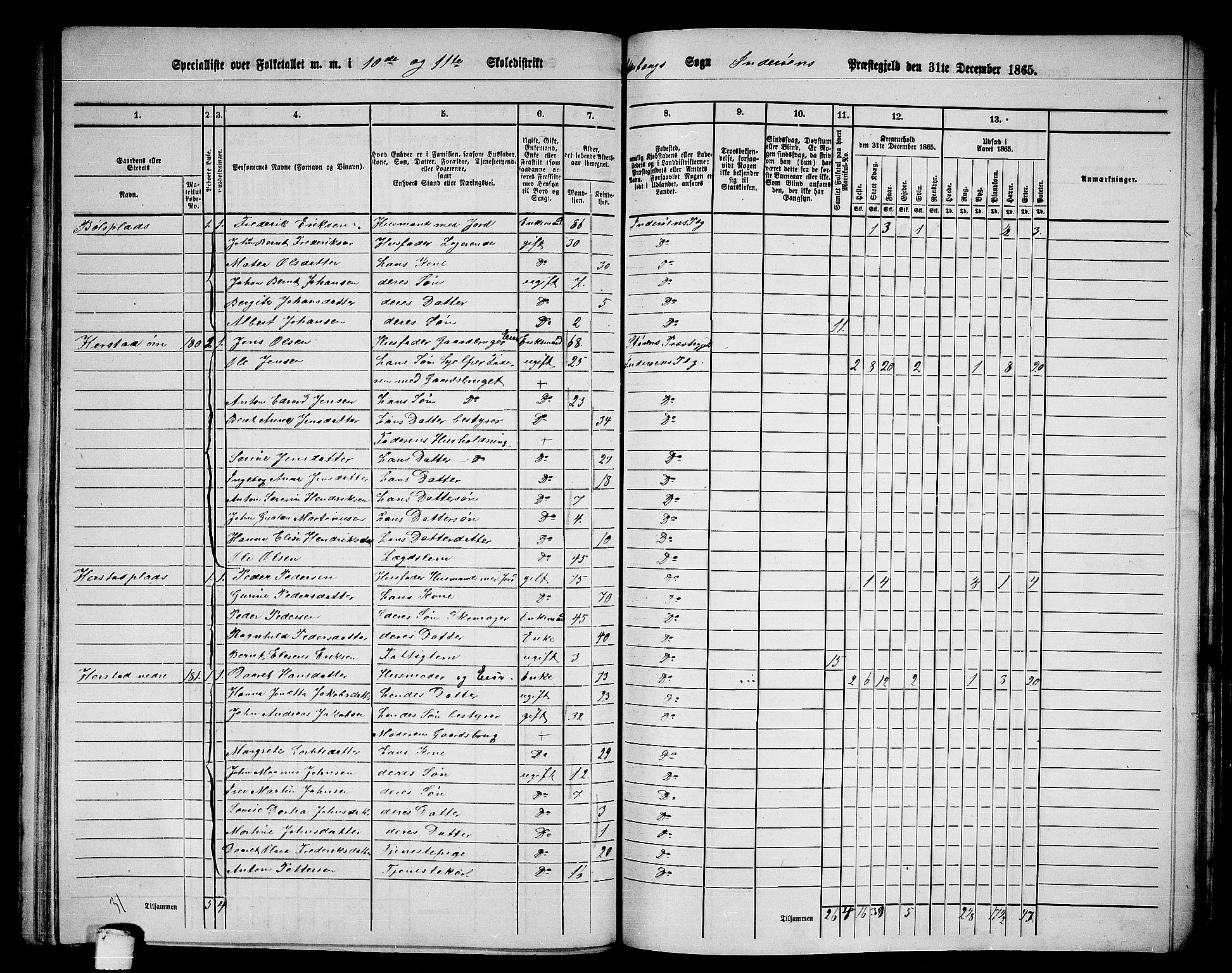 RA, 1865 census for Inderøy, 1865, p. 140