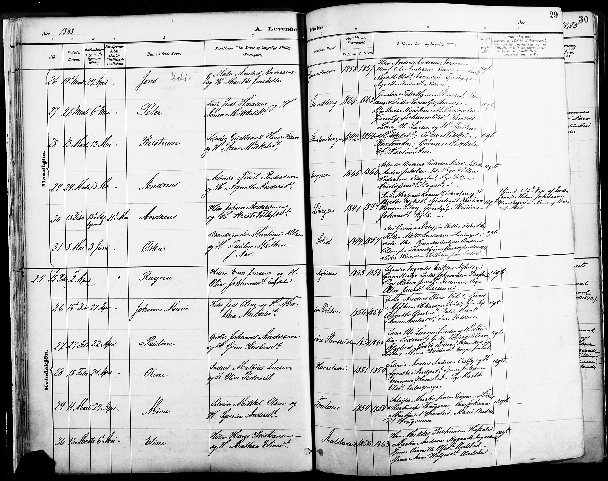 Vang prestekontor, Hedmark, AV/SAH-PREST-008/H/Ha/Haa/L0019A: Parish register (official) no. 19, 1886-1900, p. 29