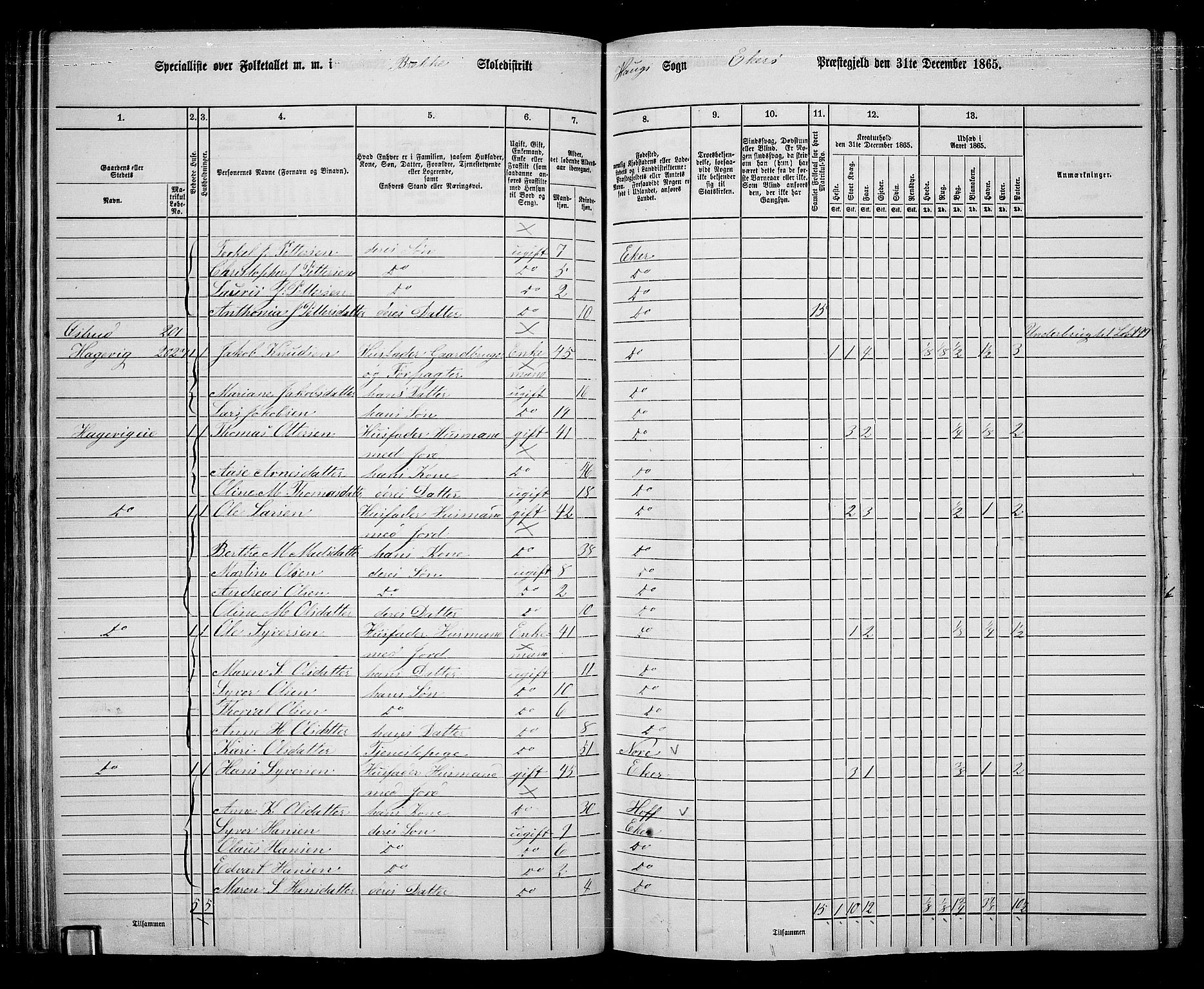 RA, 1865 census for Eiker, 1865, p. 71