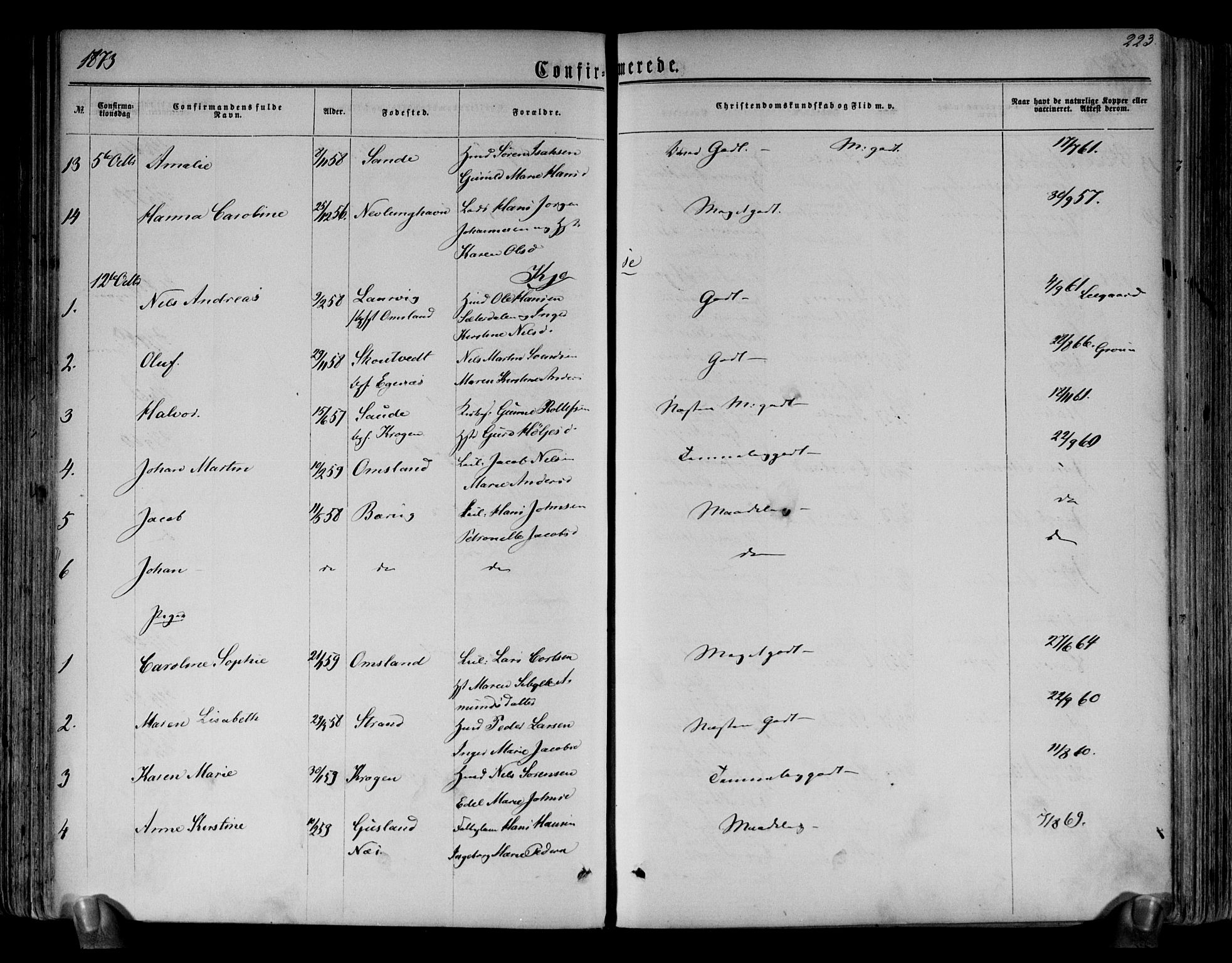 Brunlanes kirkebøker, AV/SAKO-A-342/F/Fa/L0005: Parish register (official) no. I 5, 1862-1877, p. 223