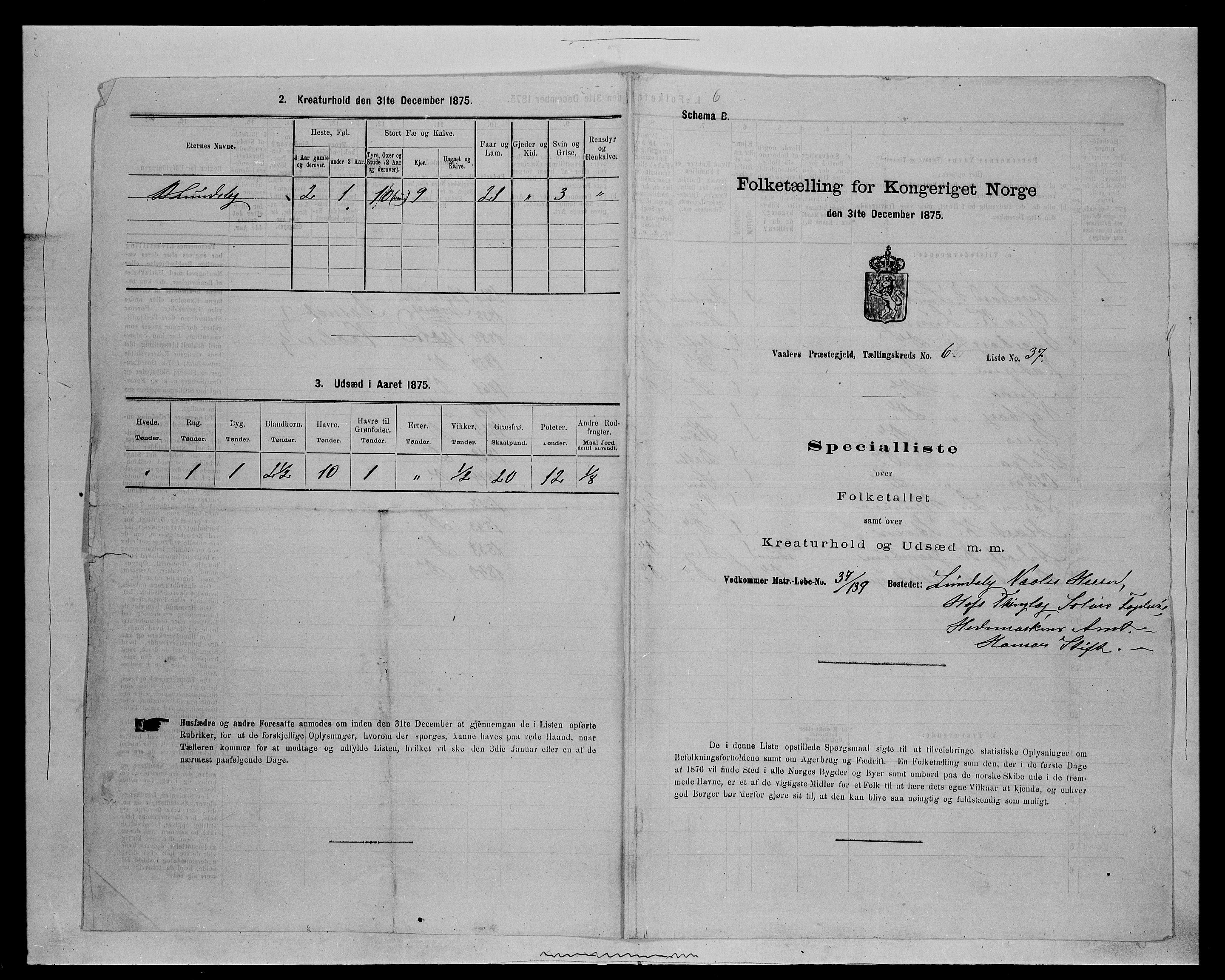 SAH, 1875 census for 0426P Våler parish (Hedmark), 1875, p. 787