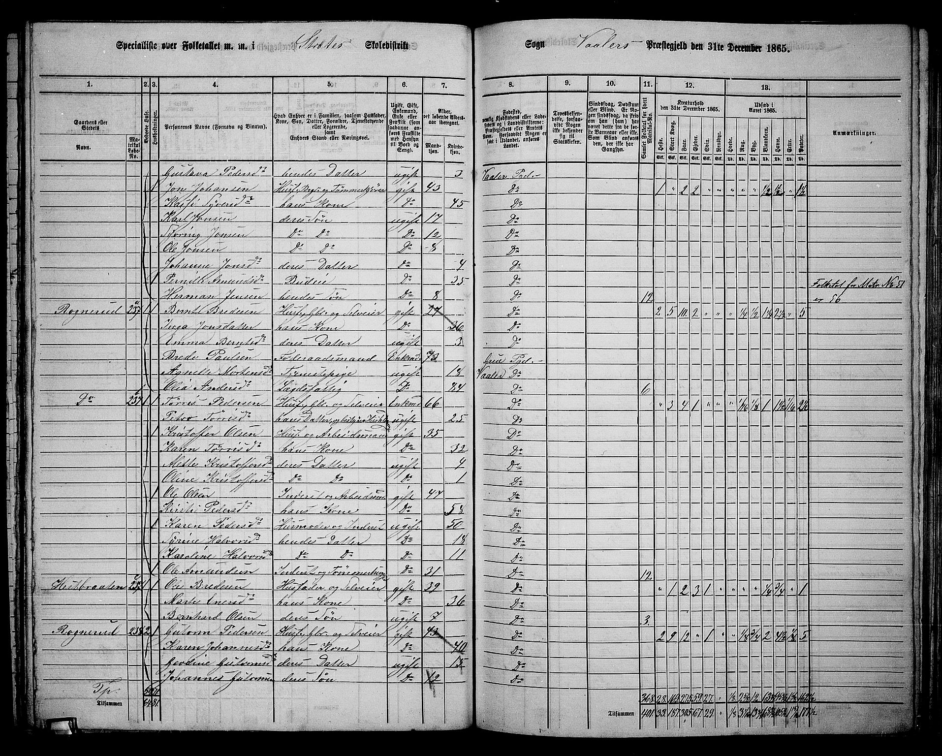 RA, 1865 census for Våler, 1865, p. 107