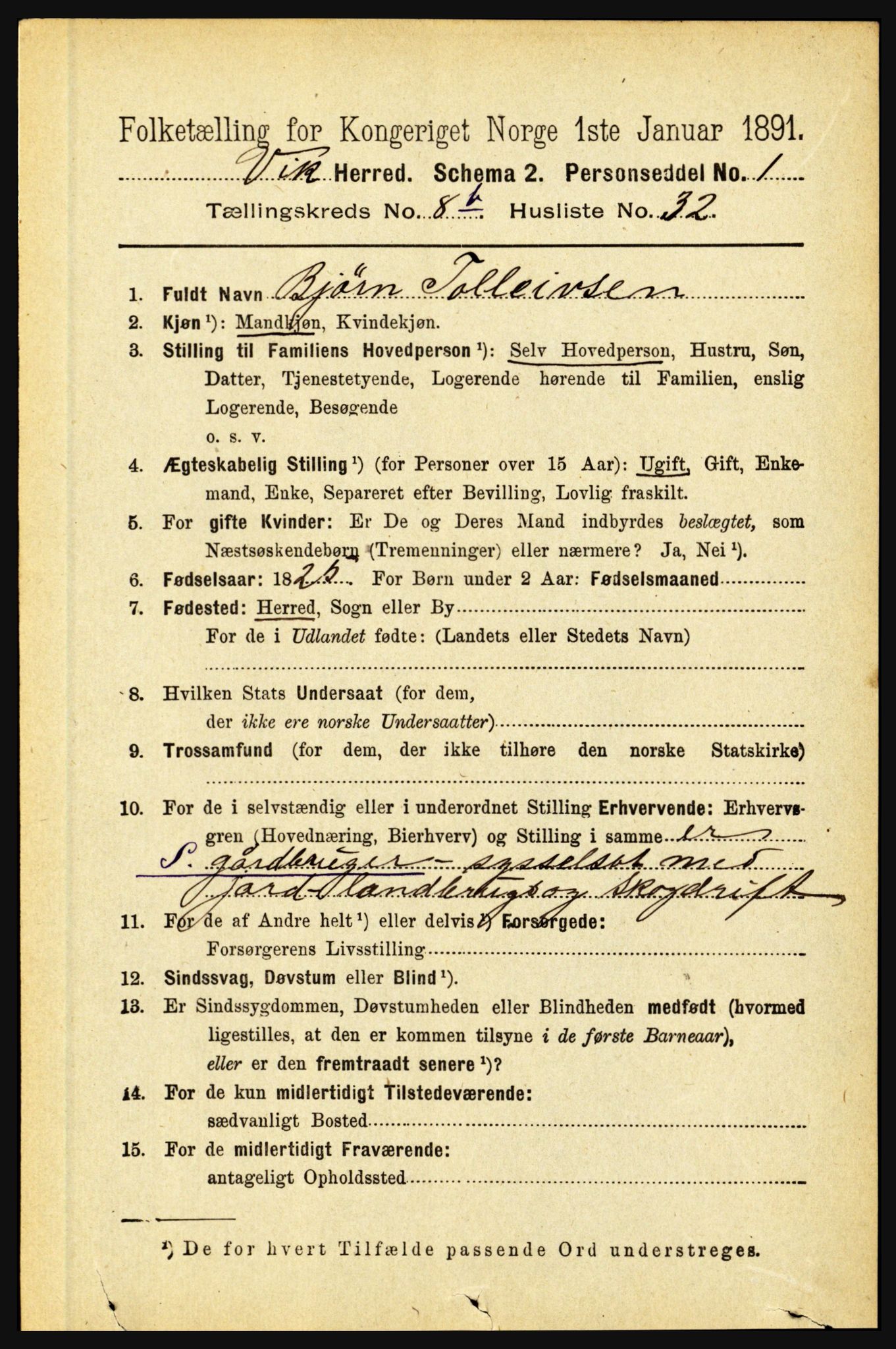 RA, 1891 census for 1417 Vik, 1891, p. 3899