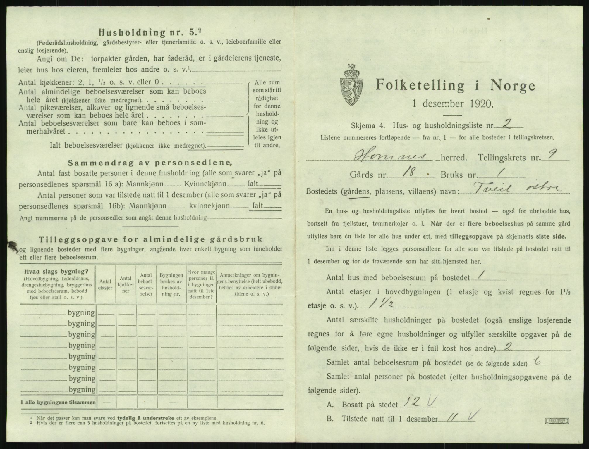 SAK, 1920 census for Hornnes, 1920, p. 353
